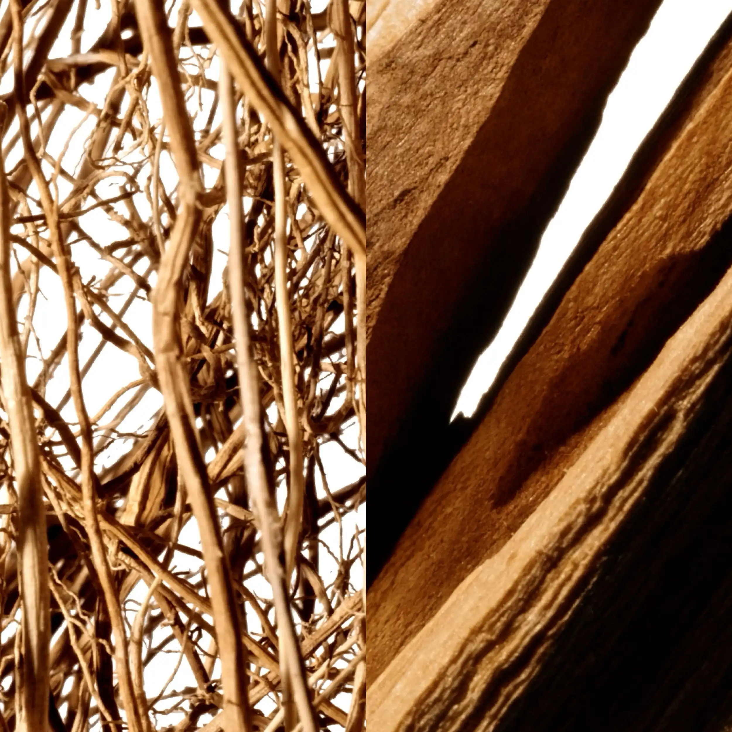 Hình 3 - Montblanc Collection Vetiver Glacier EDP 125ml