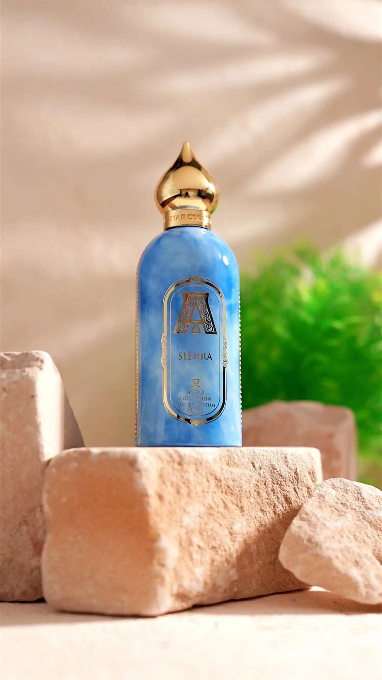 Hình 5 - Attar Collection Sierra (2025) EDP 100ml