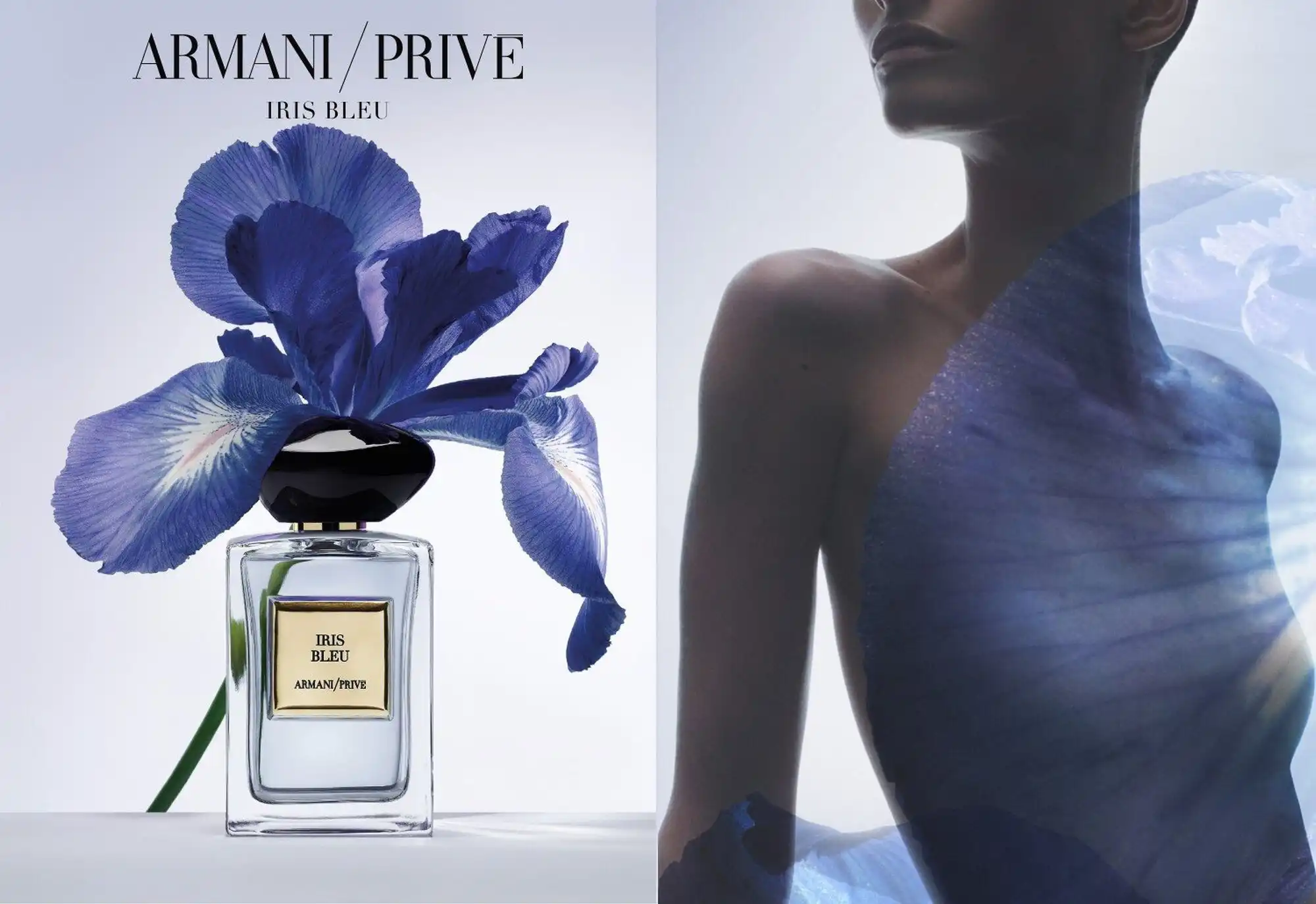 Giorgio Armani Iris Bleu (2025) EDT - MC Perfume & Diamond: Công