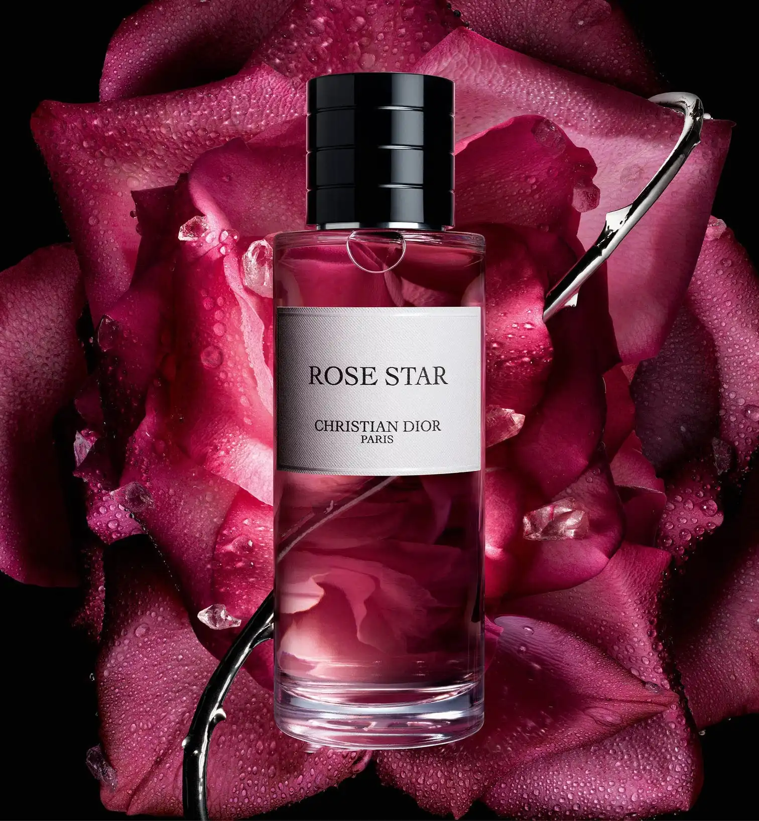 Hình 2 - Dior Rose Star (2025) EDP 100ml