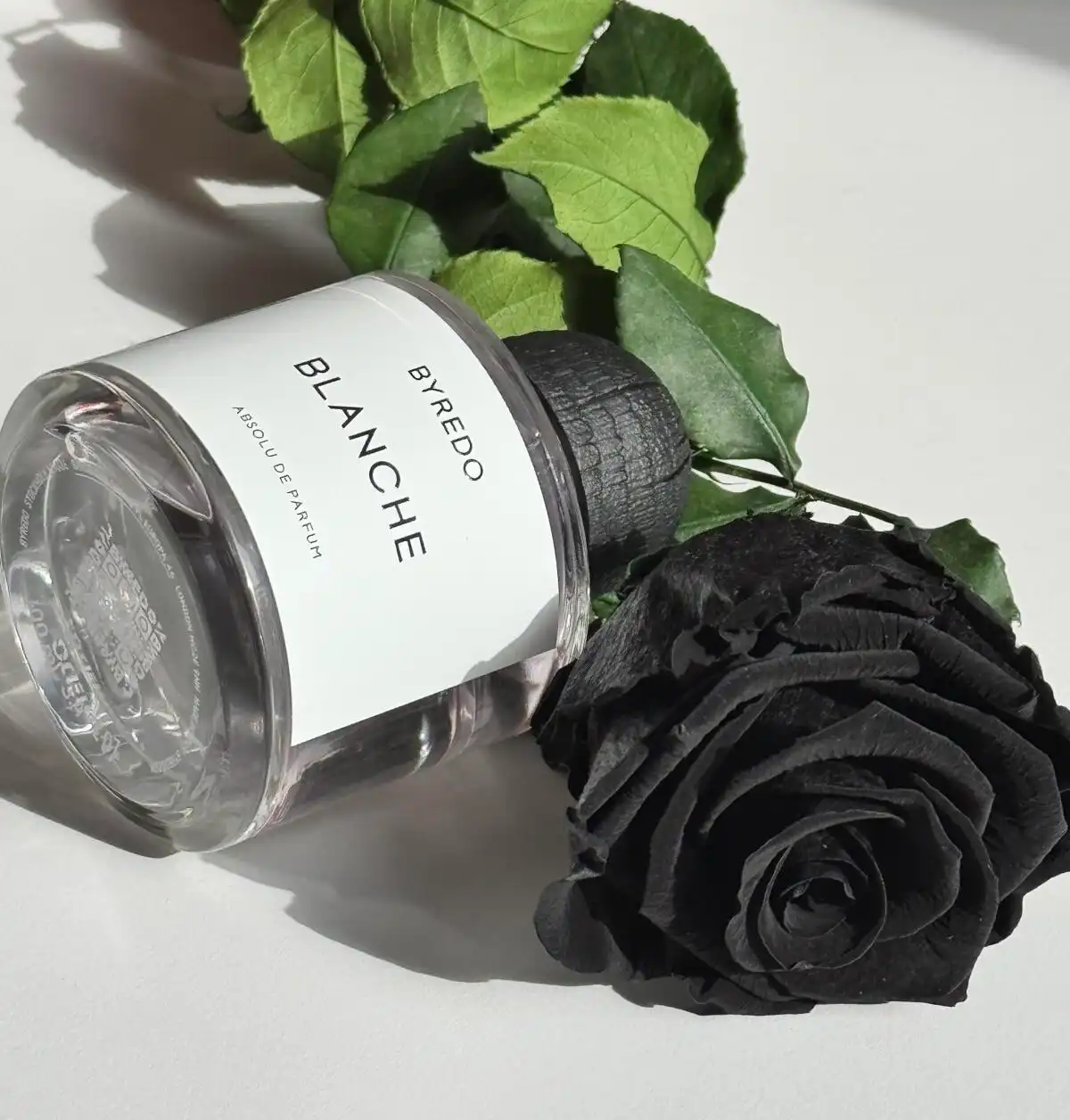 Hình 2 - Byredo Blanche Absolu (2025) Parfum 100ml