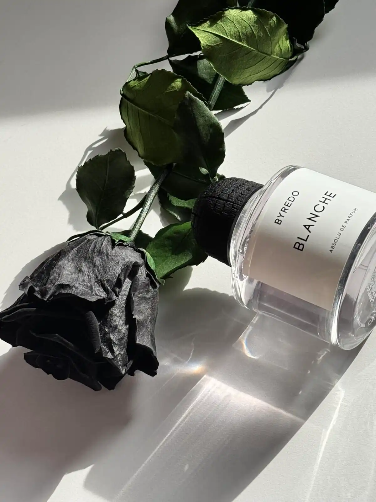 Hình 3 - Byredo Blanche Absolu (2025) Parfum 100ml
