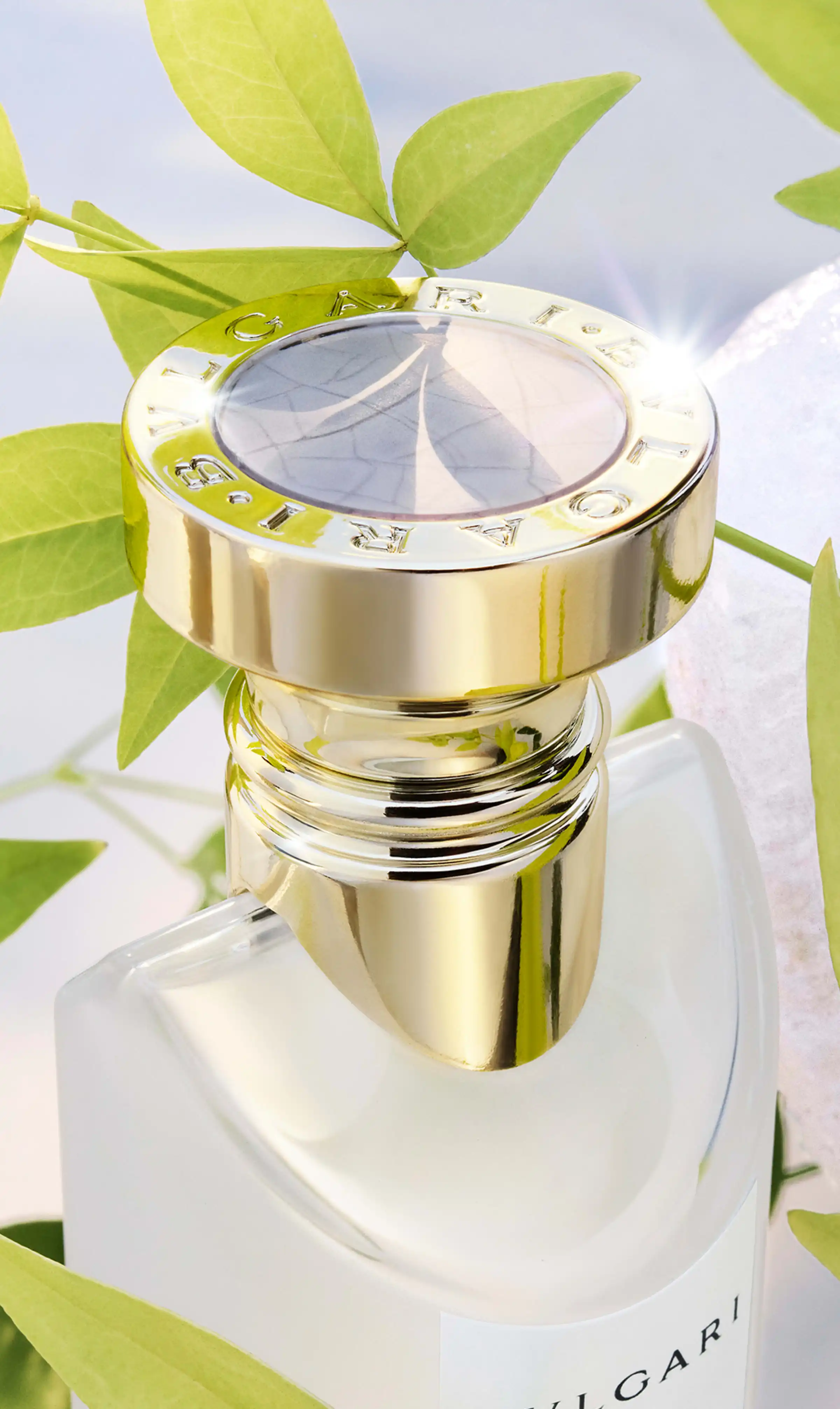 Hình 2 - Bvlgari Eau Parfumée Thé Blanc EDT 150ml