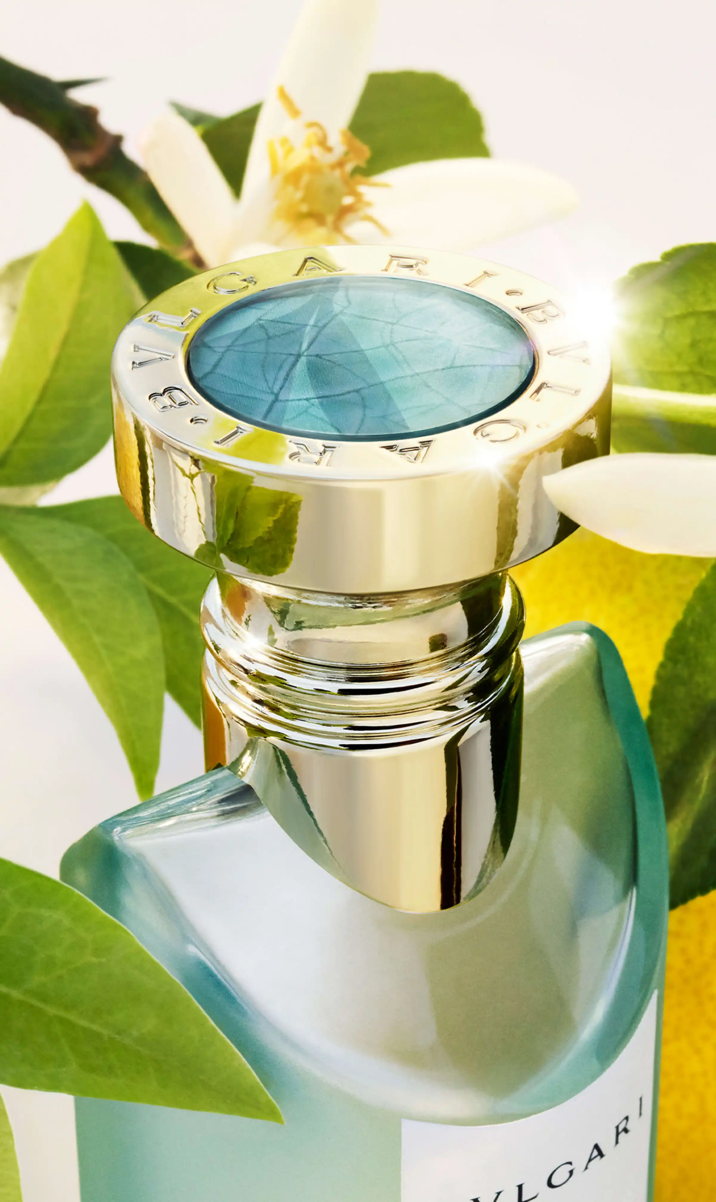 Hình 2 - Bvlgari Eau Parfumée Thé Vert EDT 150ml