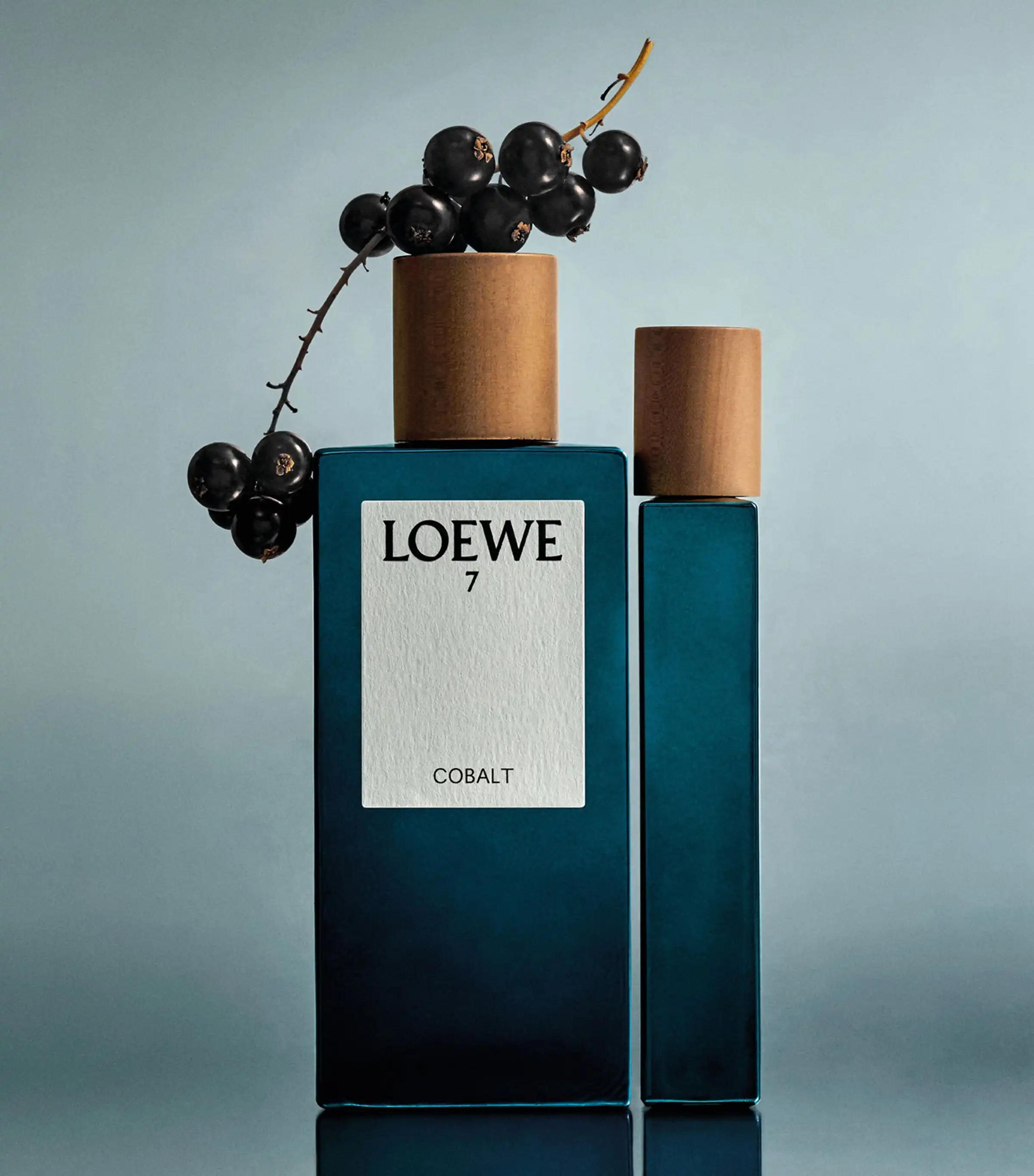 Hình 2 - Loewe 7 Cobalt EDP 100ml