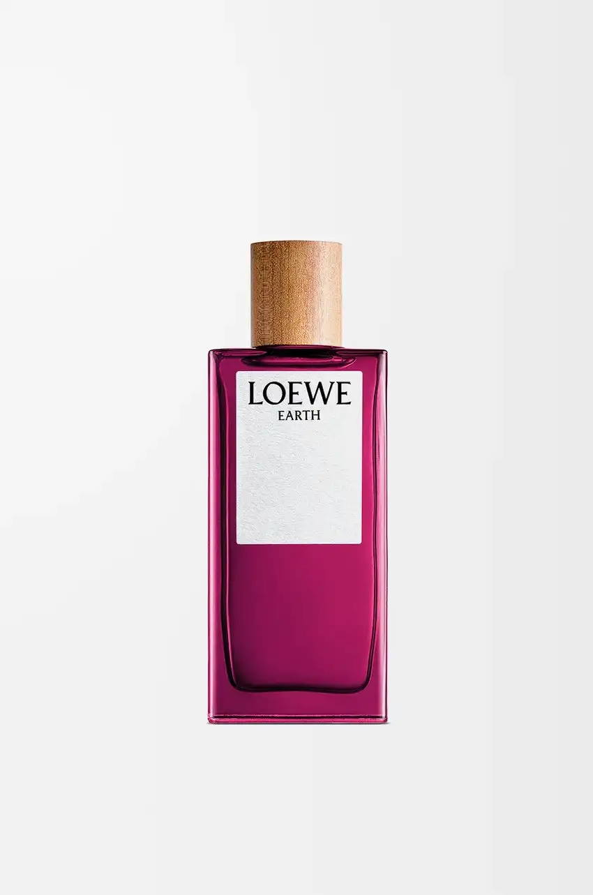 Loewe Earth