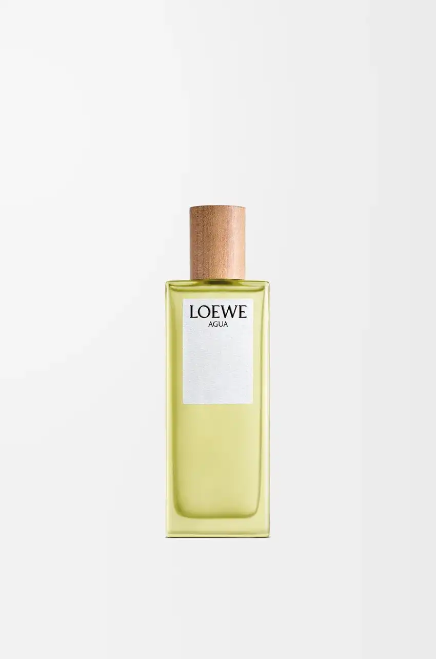 Loewe Agua