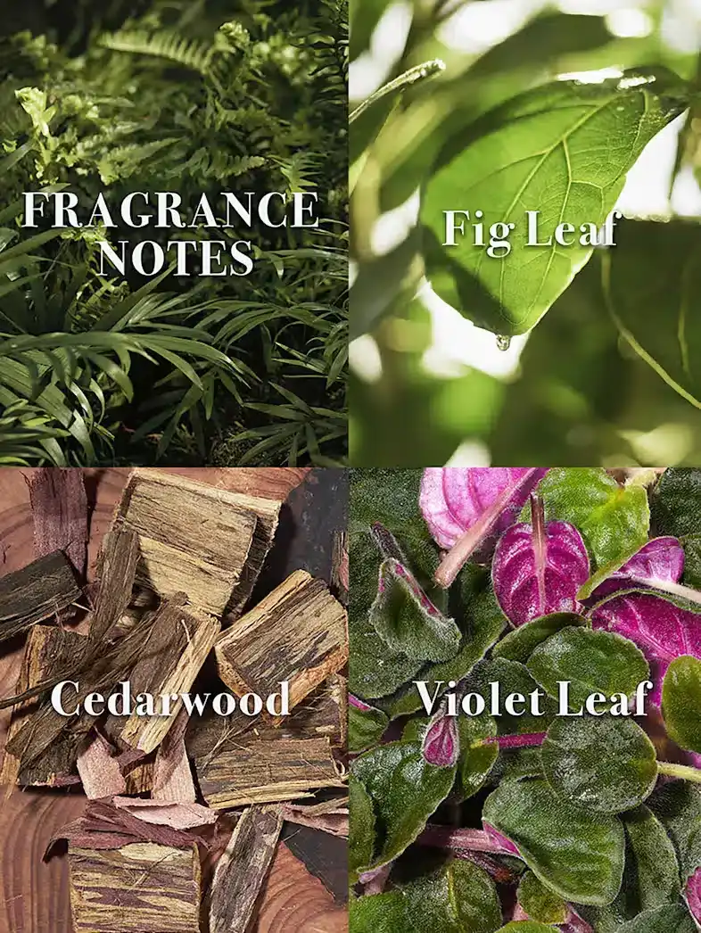 Hình 2 - John Varvatos Artisan Forest (2025) EDP 125ml