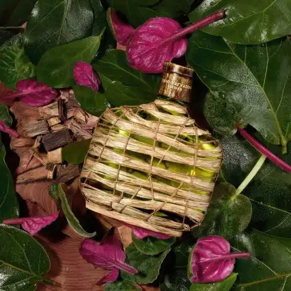 Hình 5 - John Varvatos Artisan Forest (2025) EDP 125ml