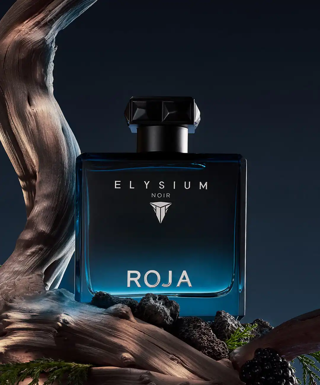 Hình 3 - Roja Parfums Elysium Noir (2025) EDP 100ml