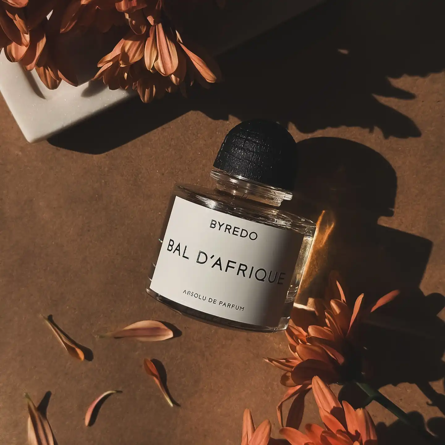 Hình 3 - Byredo Bal d’Afrique Absolu (2025) Parfum 100ml