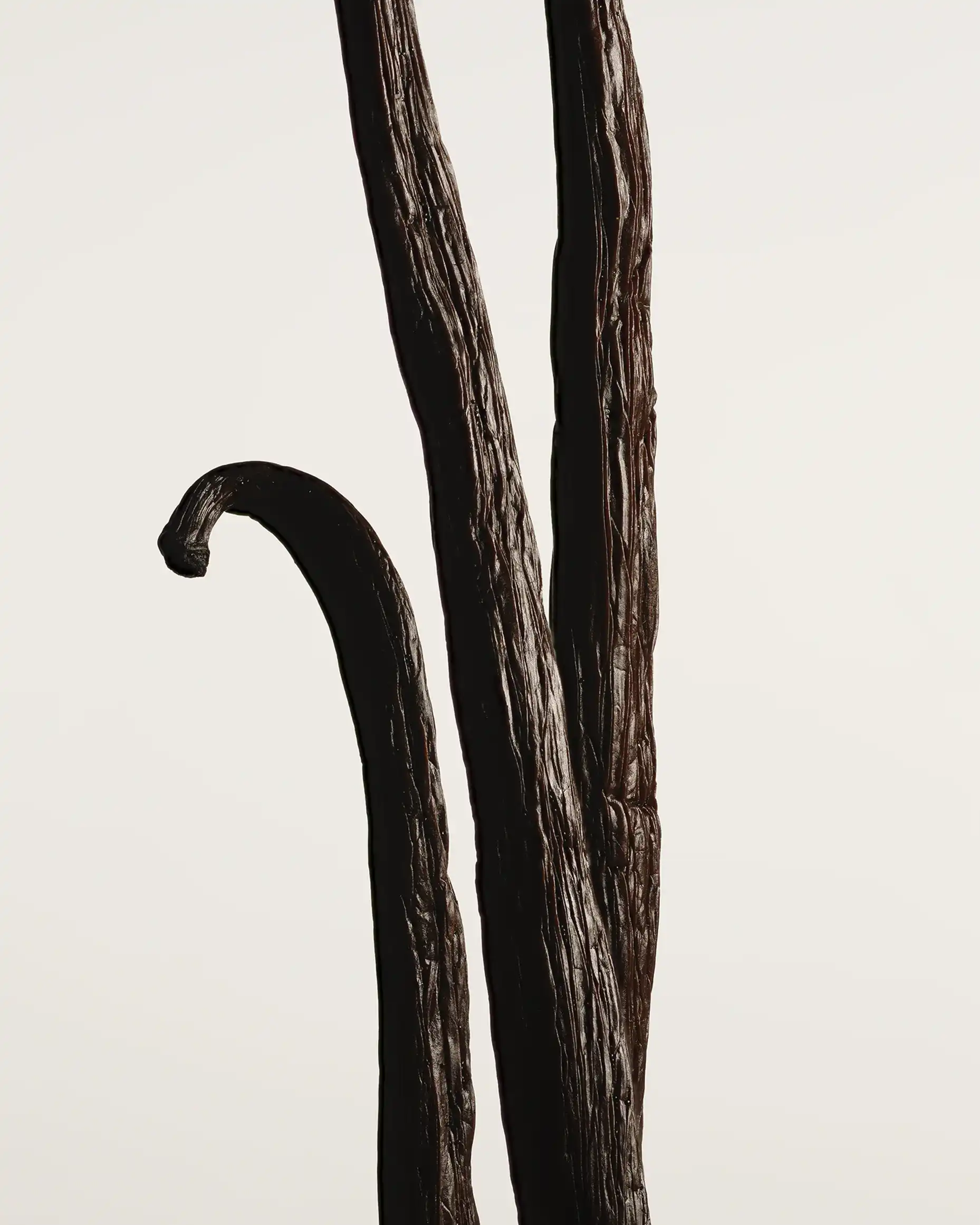 Hình 3 - Matiere Premiere Vanilla Powder (2025) Extrait De Parfum 100ml