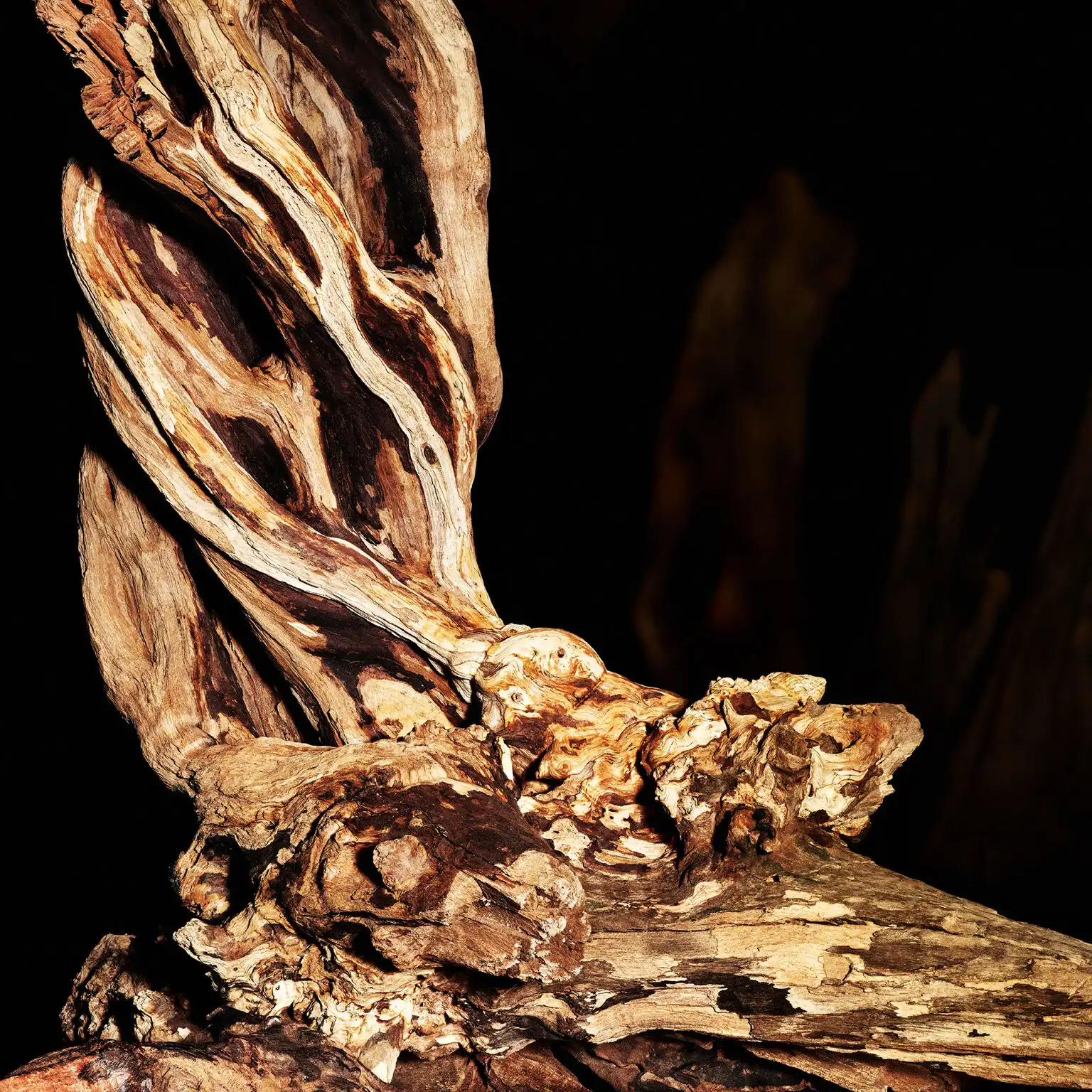 Hình 3 - Yves Saint Laurent Cuir Sublime Oud (2025) EDP 125ml