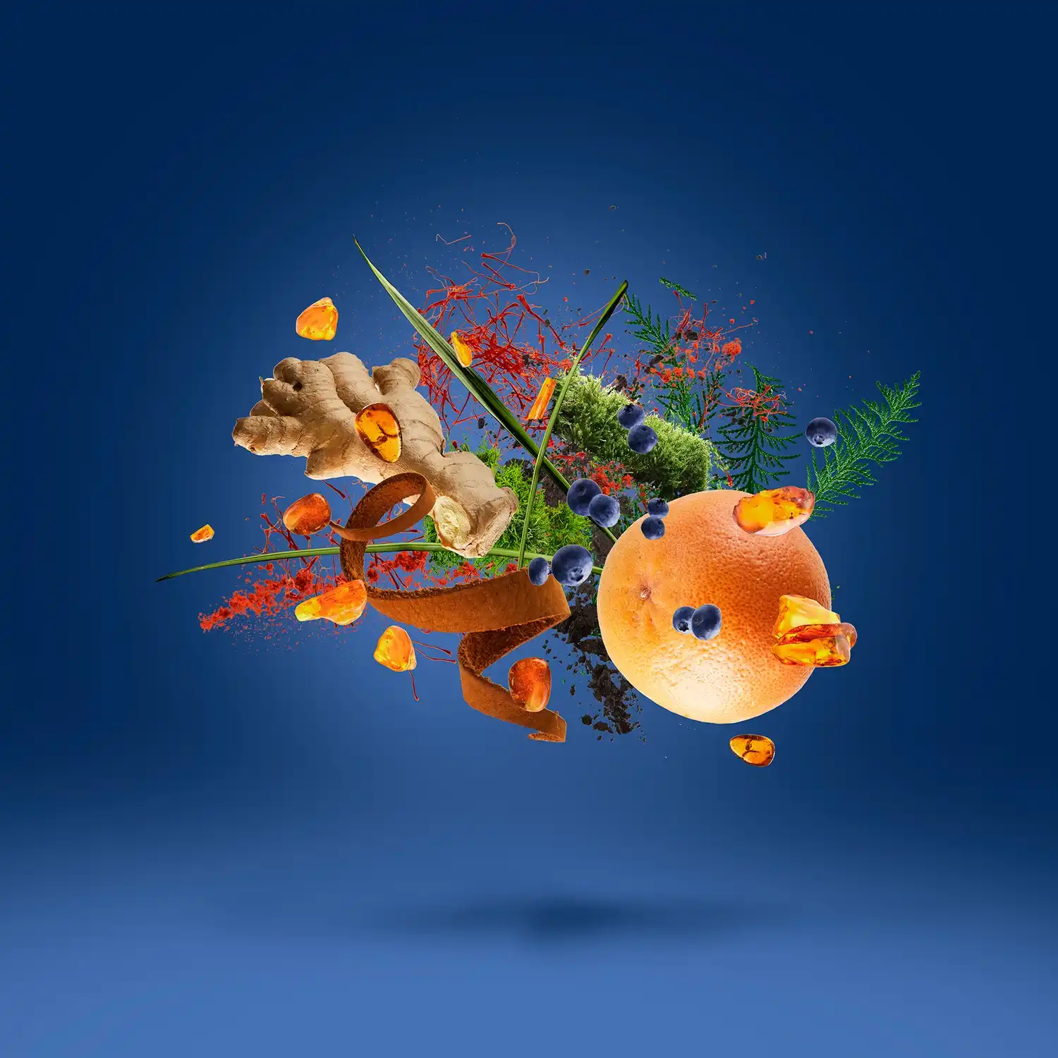 Hình 6 - Xerjoff Torino 25 (2025) EDP 50ml