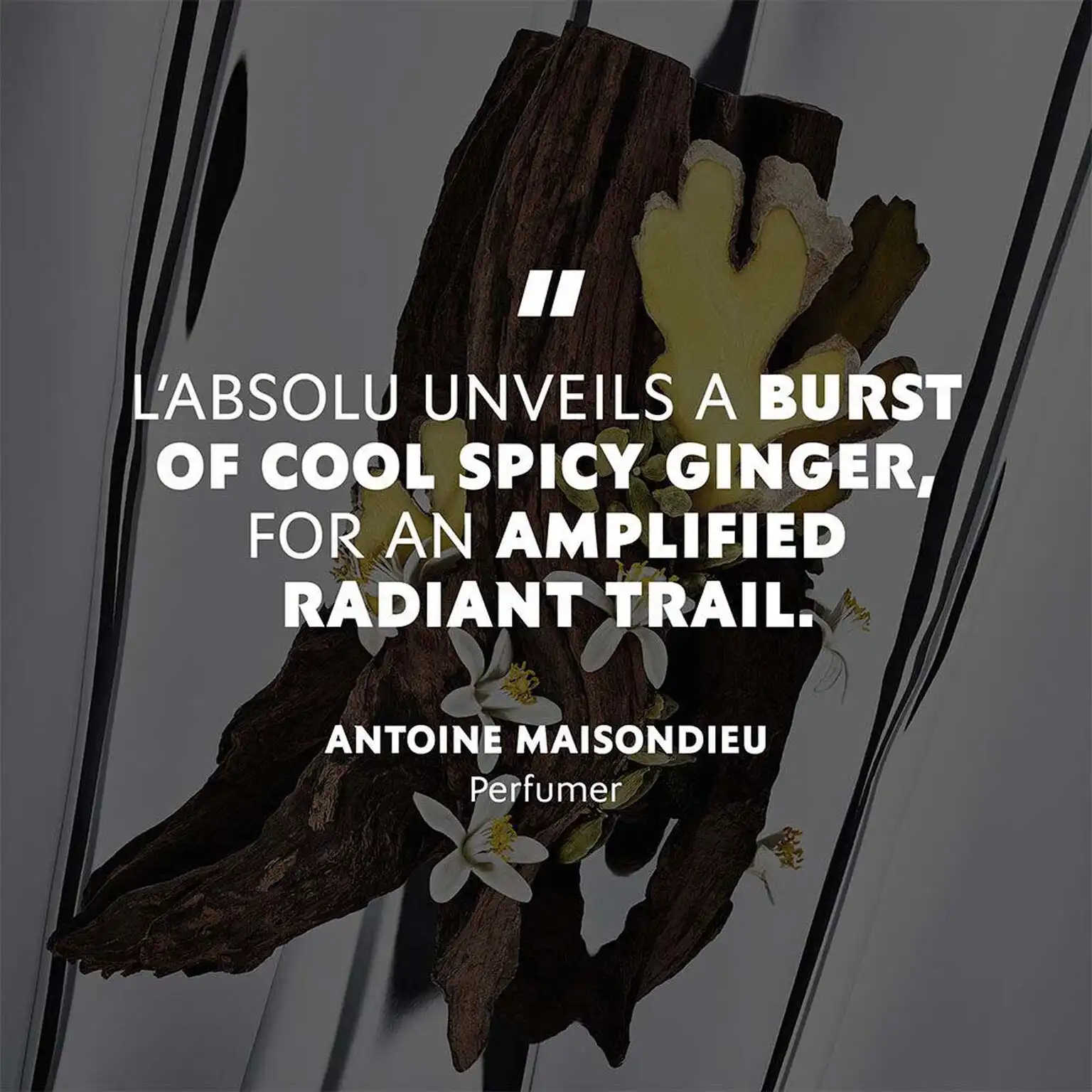 Hình 8 - Yves Saint Laurent MYSLF L’Absolu (2025) Parfum 100ml