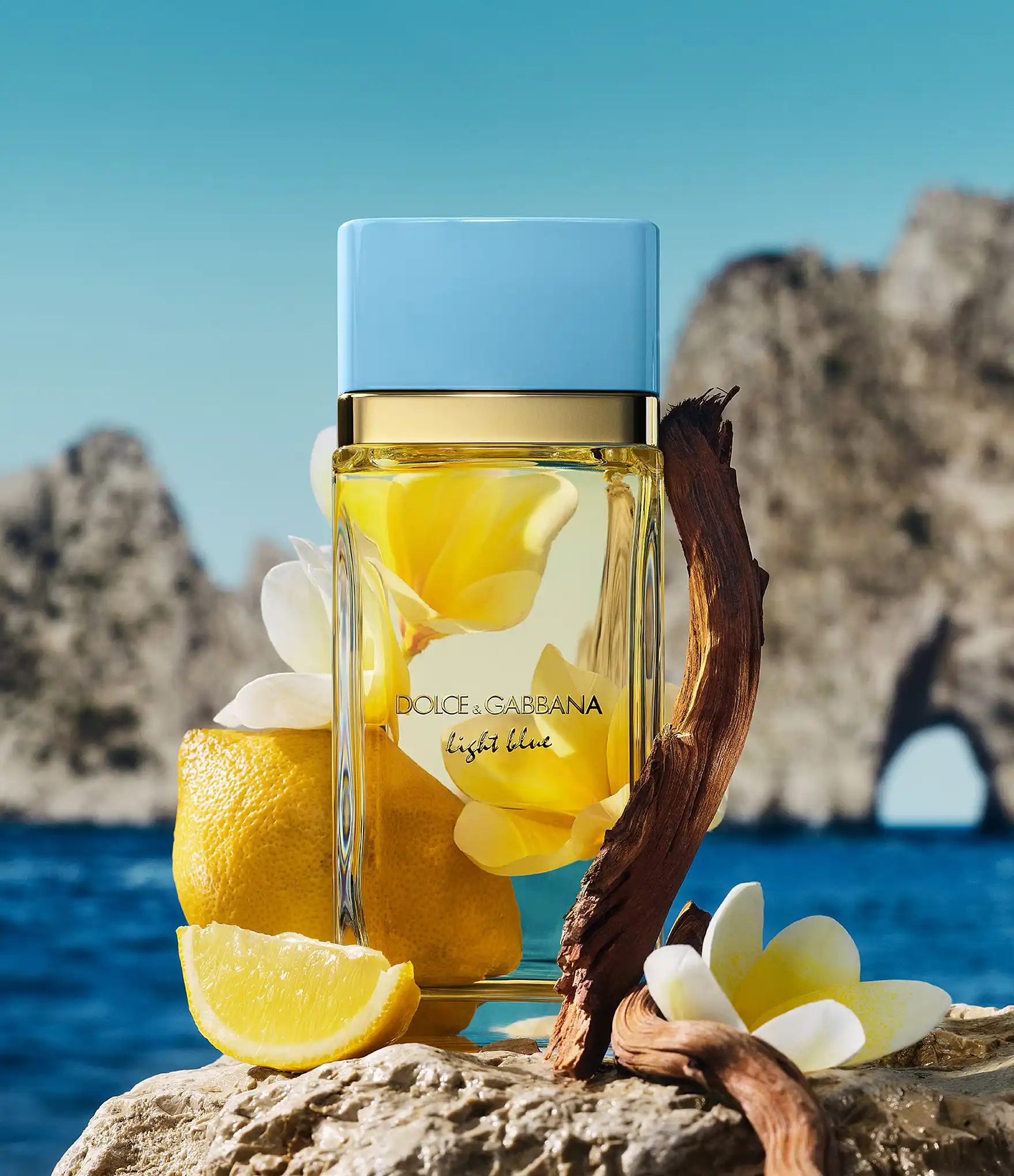Hình 2 - Dolce & Gabbana Light Blue EDP for Women (2026) EDP 100ml
