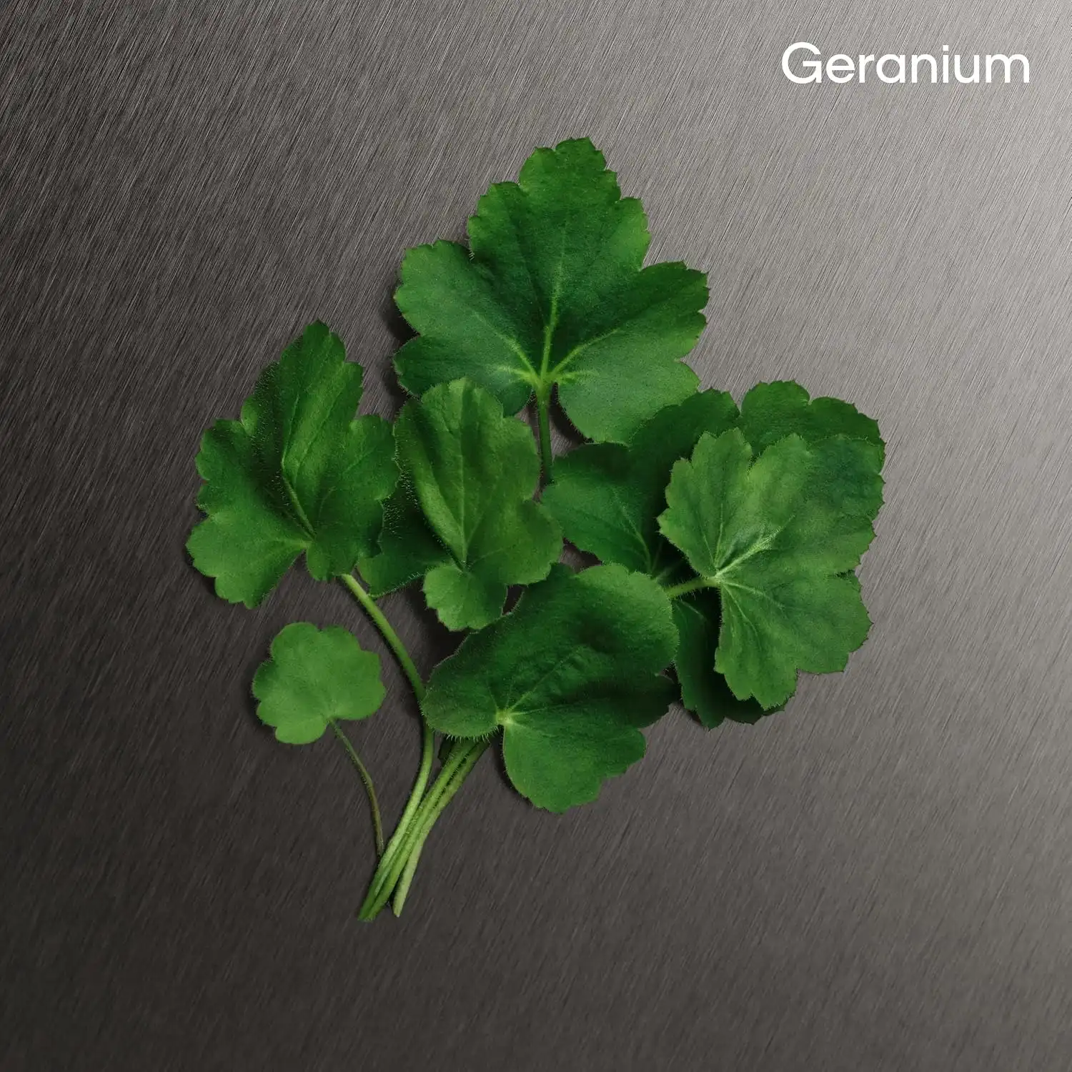 Hình 5 - Lăn Khử Mùi Nước Hoa Nam Calvin Klein Eternity 75ml