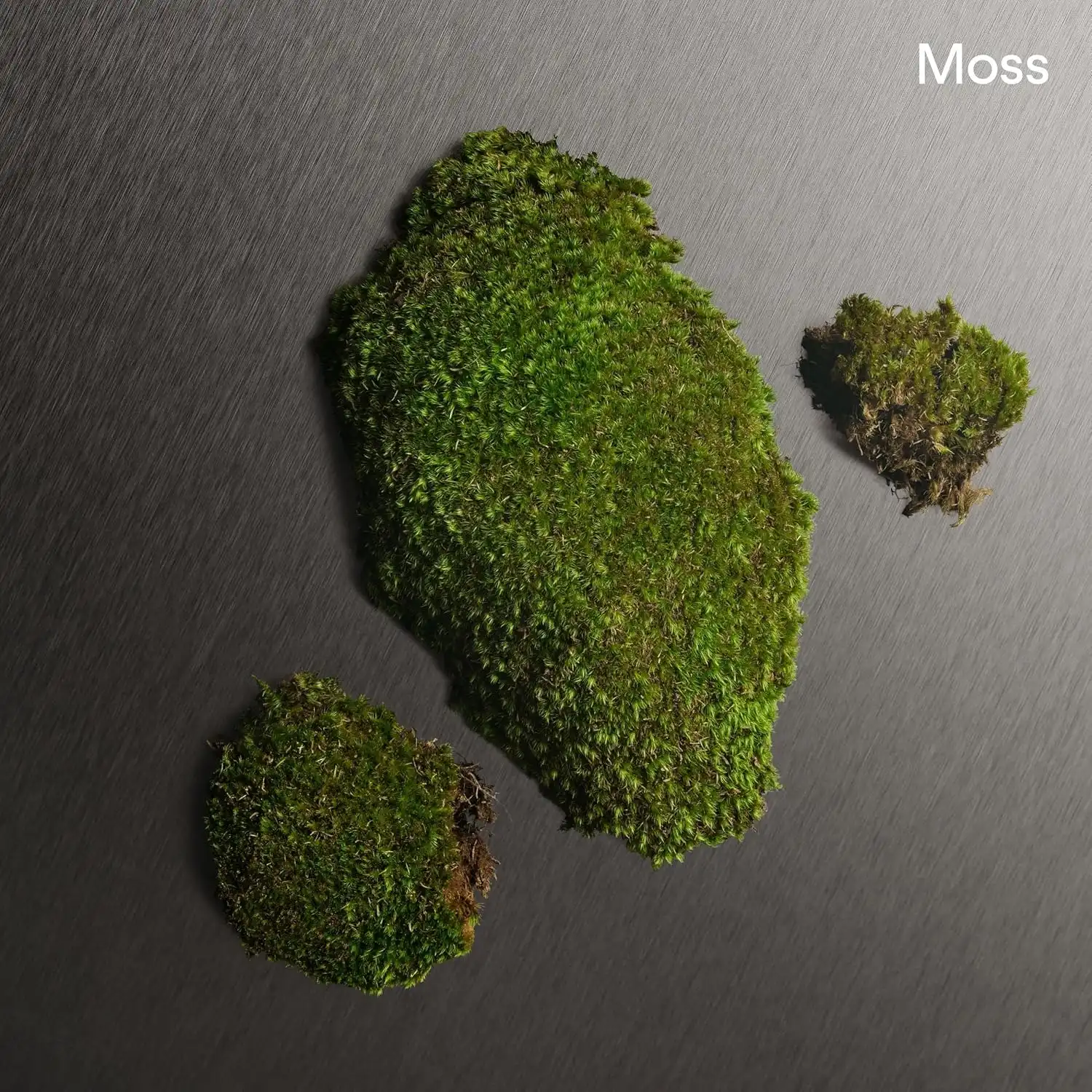 Hình 6 - Lăn Khử Mùi Nước Hoa Nam Calvin Klein Eternity 75ml