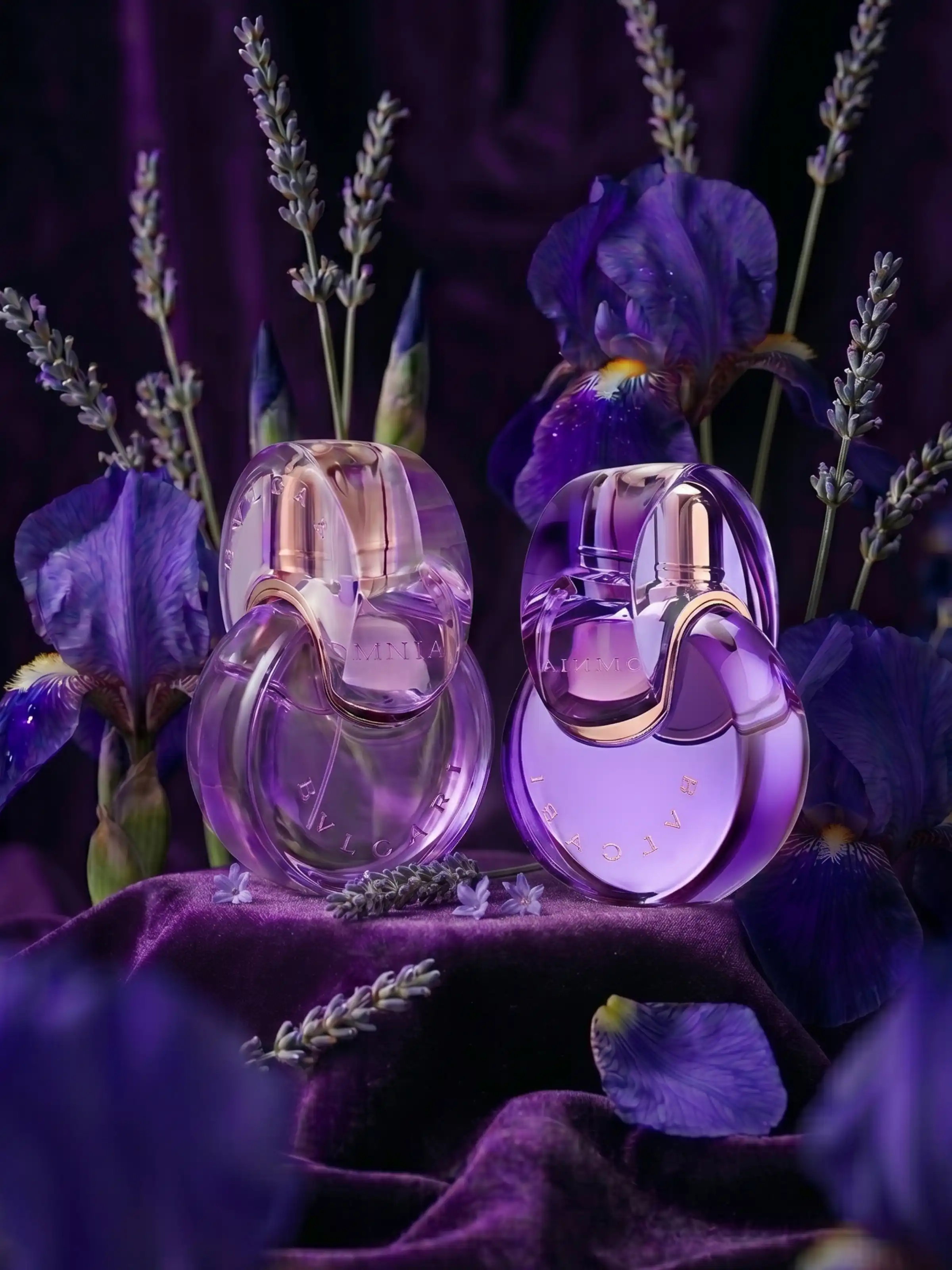 Hình 3 - Bvlgari Omnia Amethyste (2026) EDP 100ml