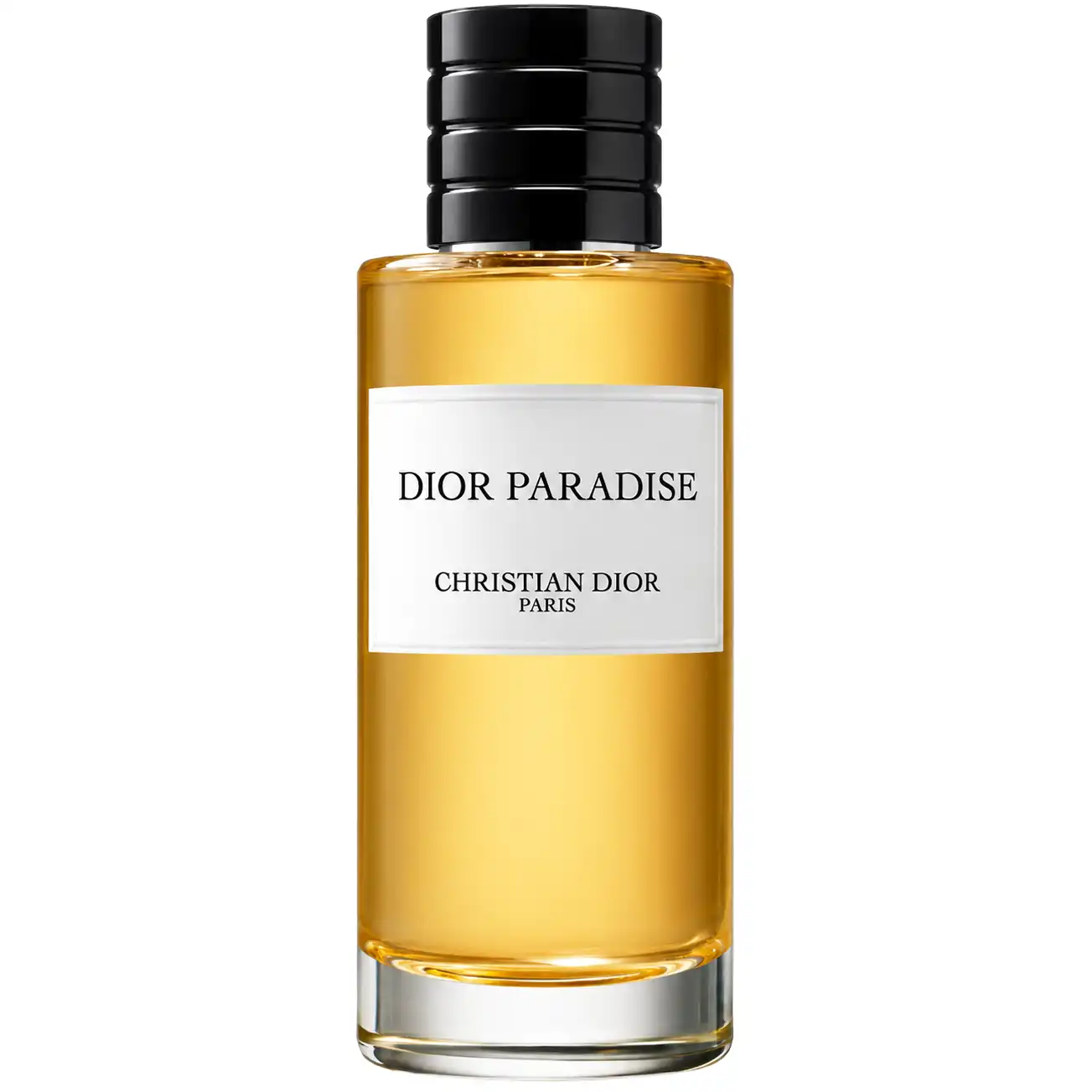 Dior Paradise (2026)