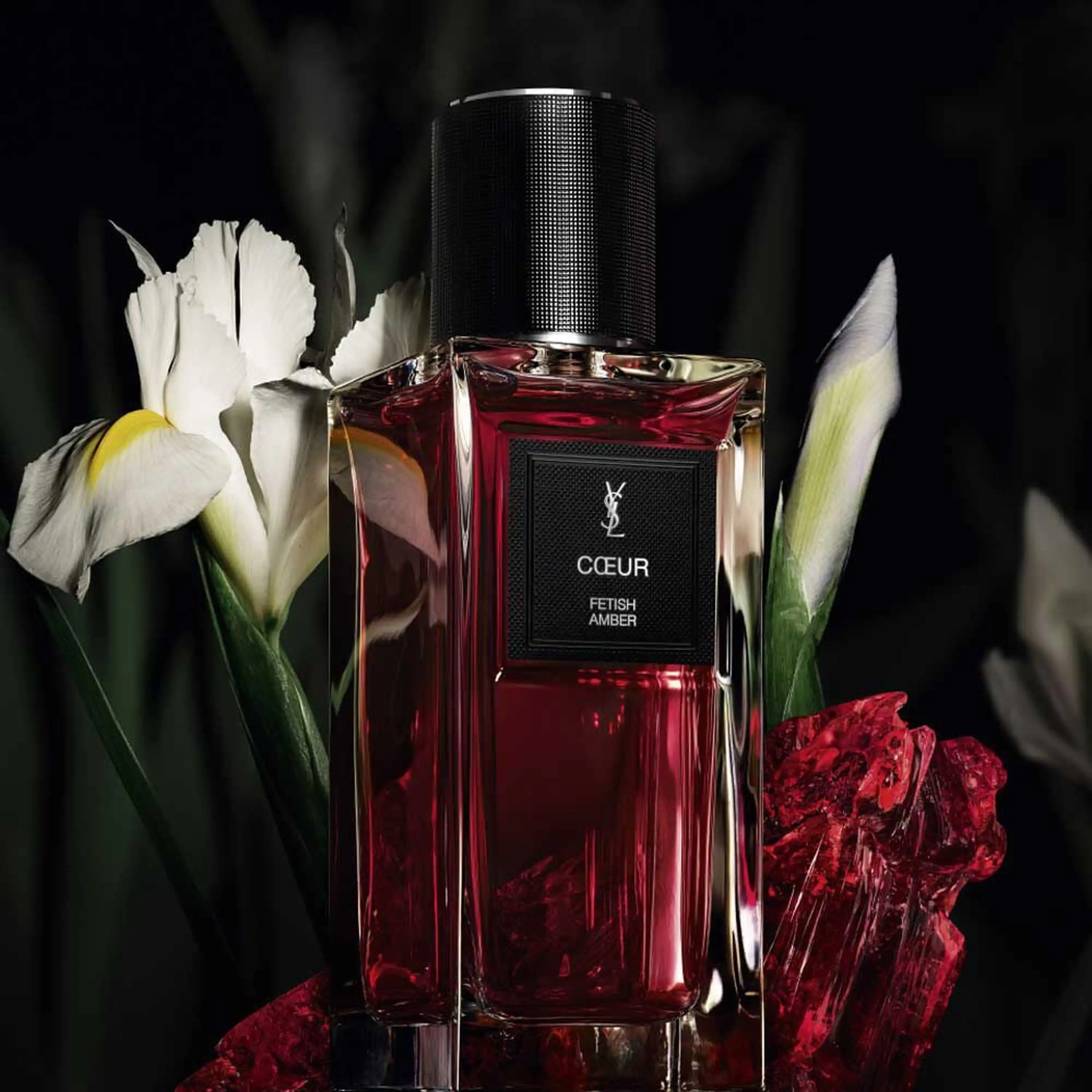 Hình 3 - Yves Saint Laurent Coeur Fetish Amber (2026) EDP 125ml