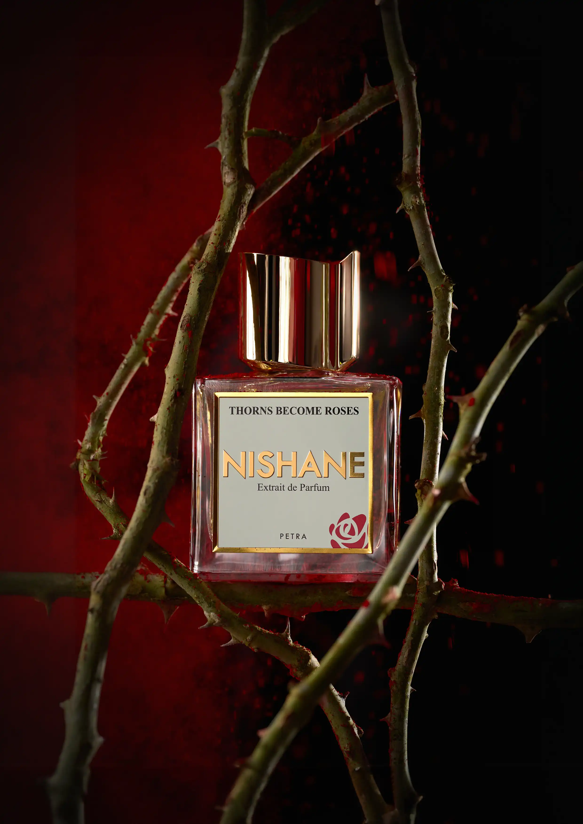 Hình 3 - Nishane Thorns Become Roses (2026) Extrait de Parfum 100ml