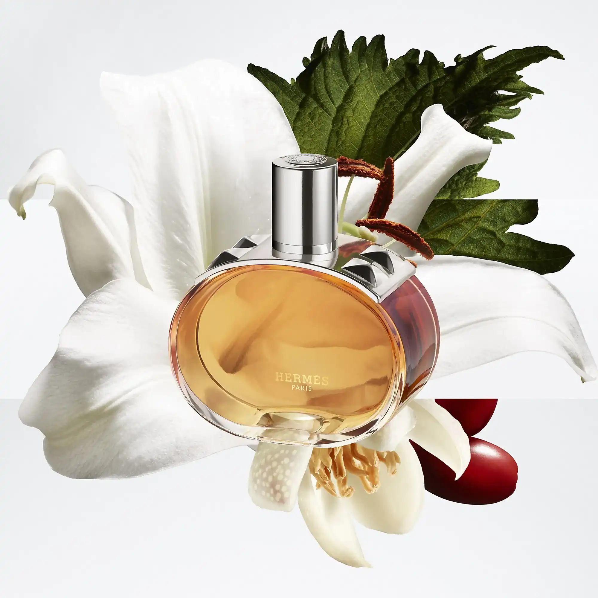 Hình 2 - Hermes Barenia Pleine Fleur (2026) EDP 100ml