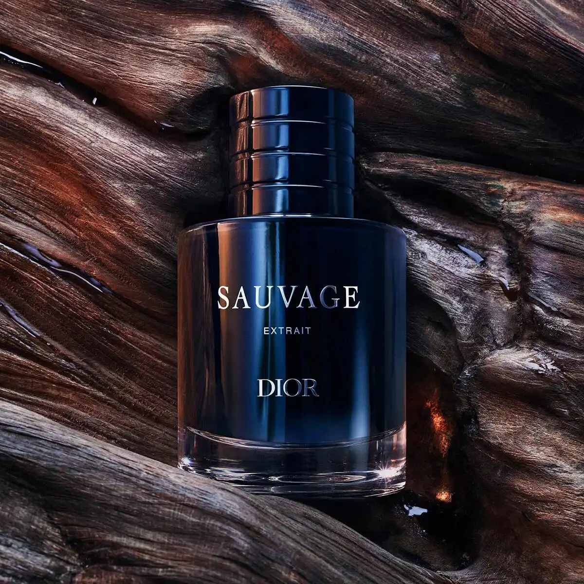 Hình 7 - Dior Sauvage (2026) Extrait De Parfum 60ml