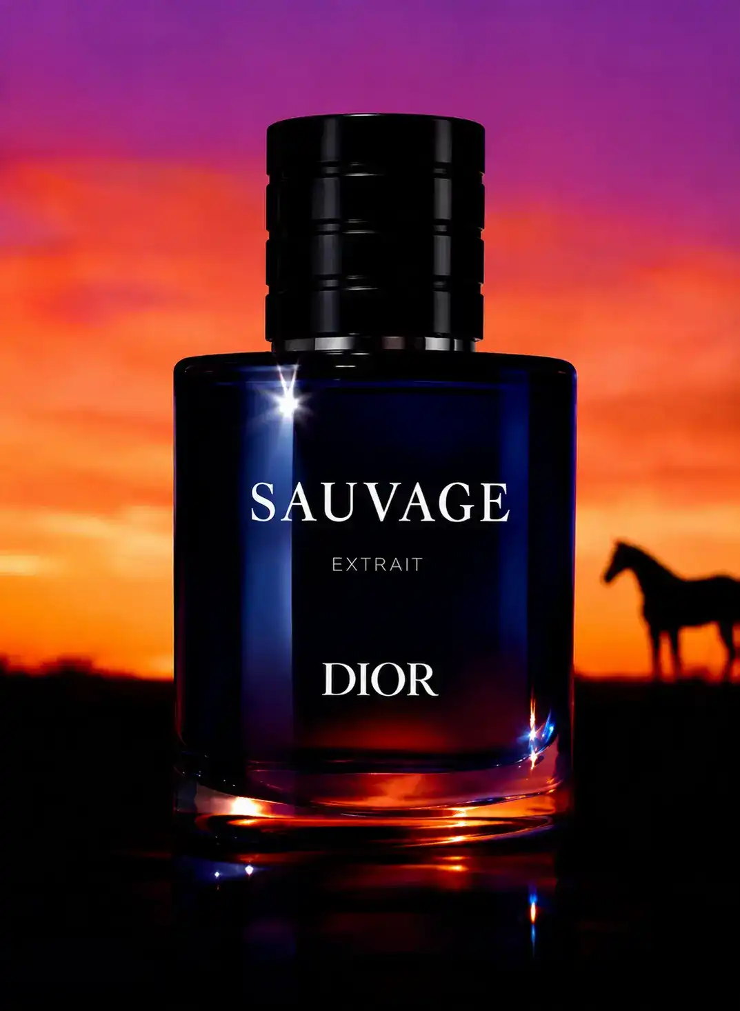 Hình 2 - Dior Sauvage (2026) Extrait De Parfum 60ml
