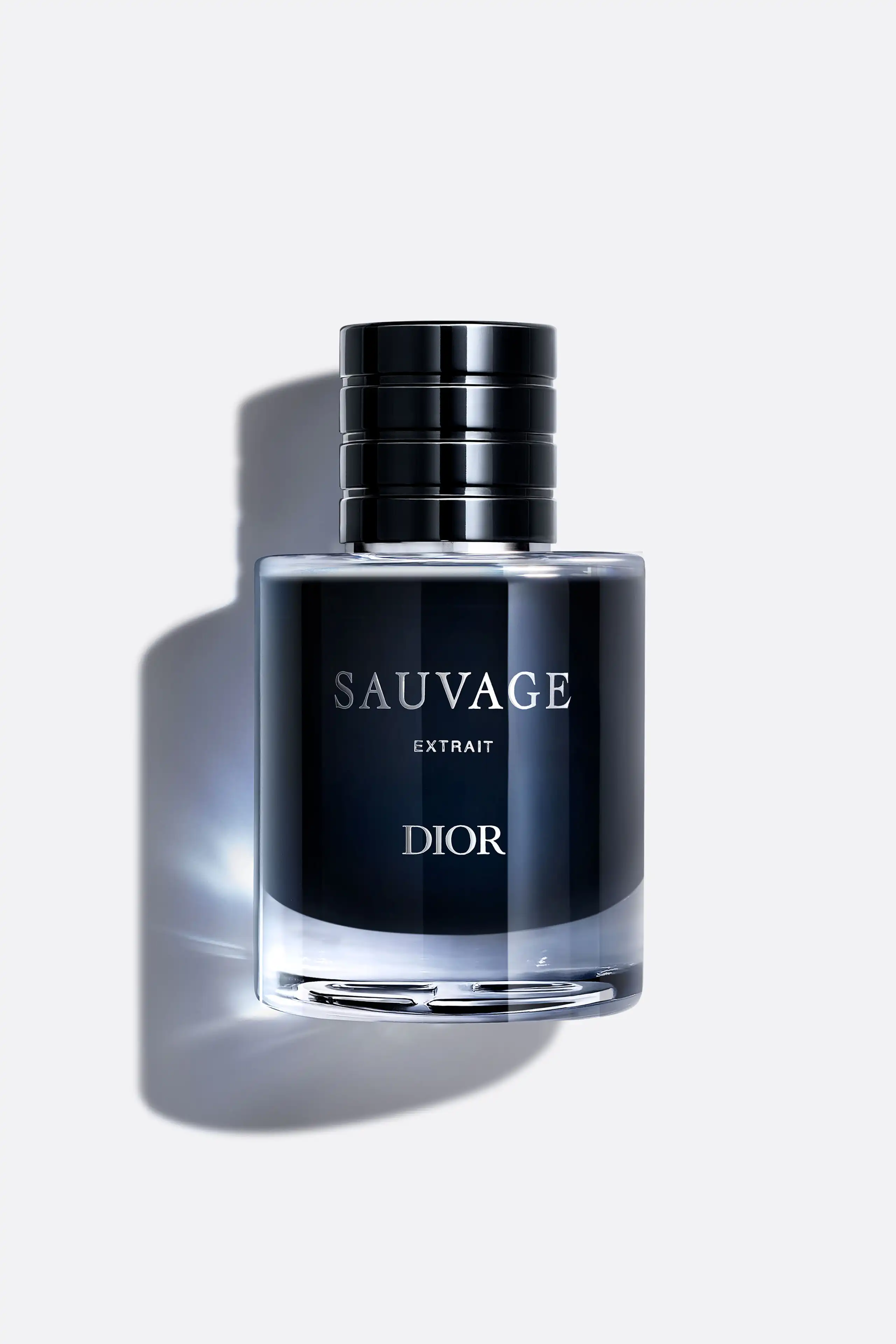 Hình 10 - Dior Sauvage (2026) Extrait De Parfum 60ml