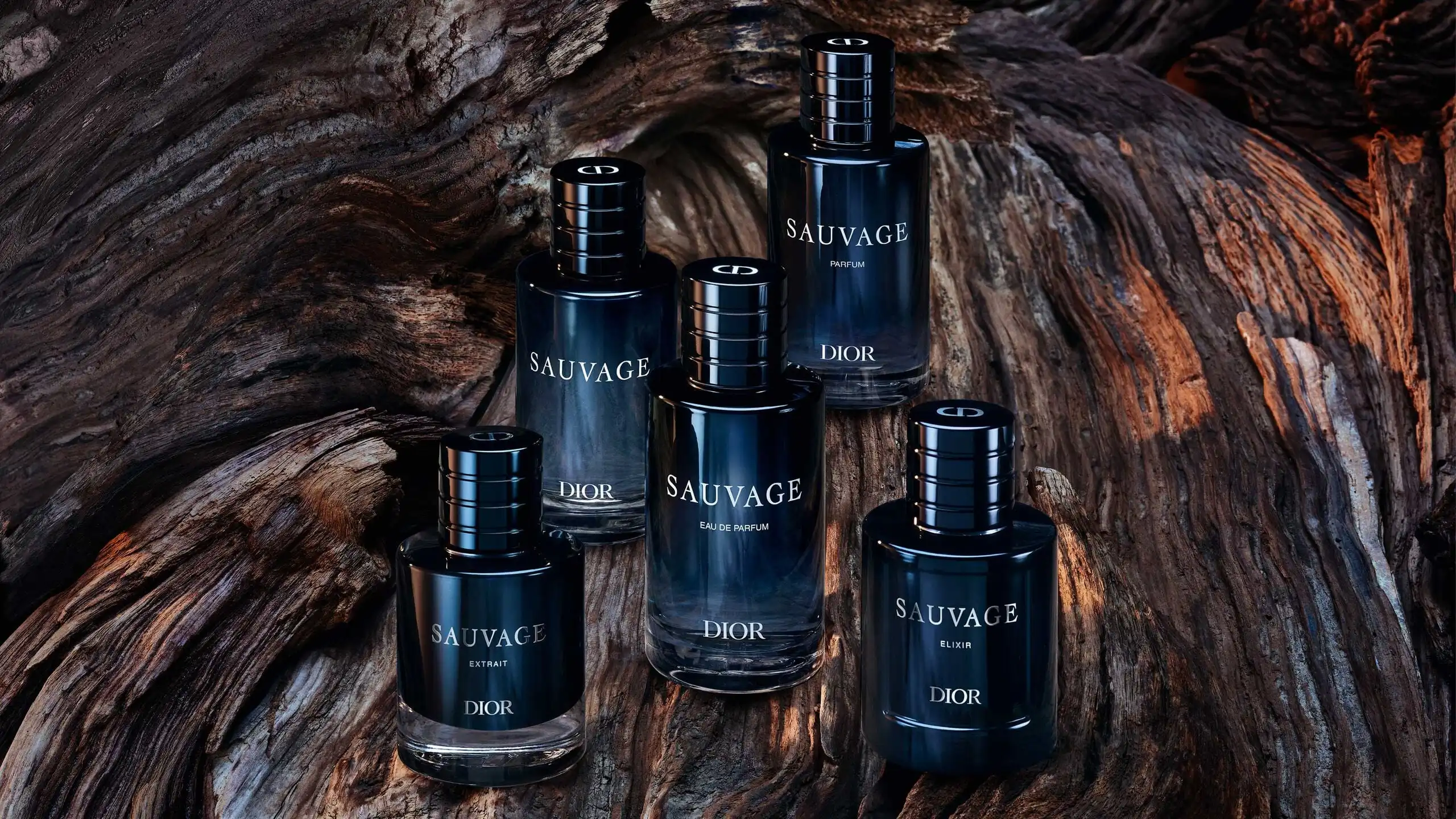 Hình 9 - Dior Sauvage (2026) Extrait De Parfum 60ml