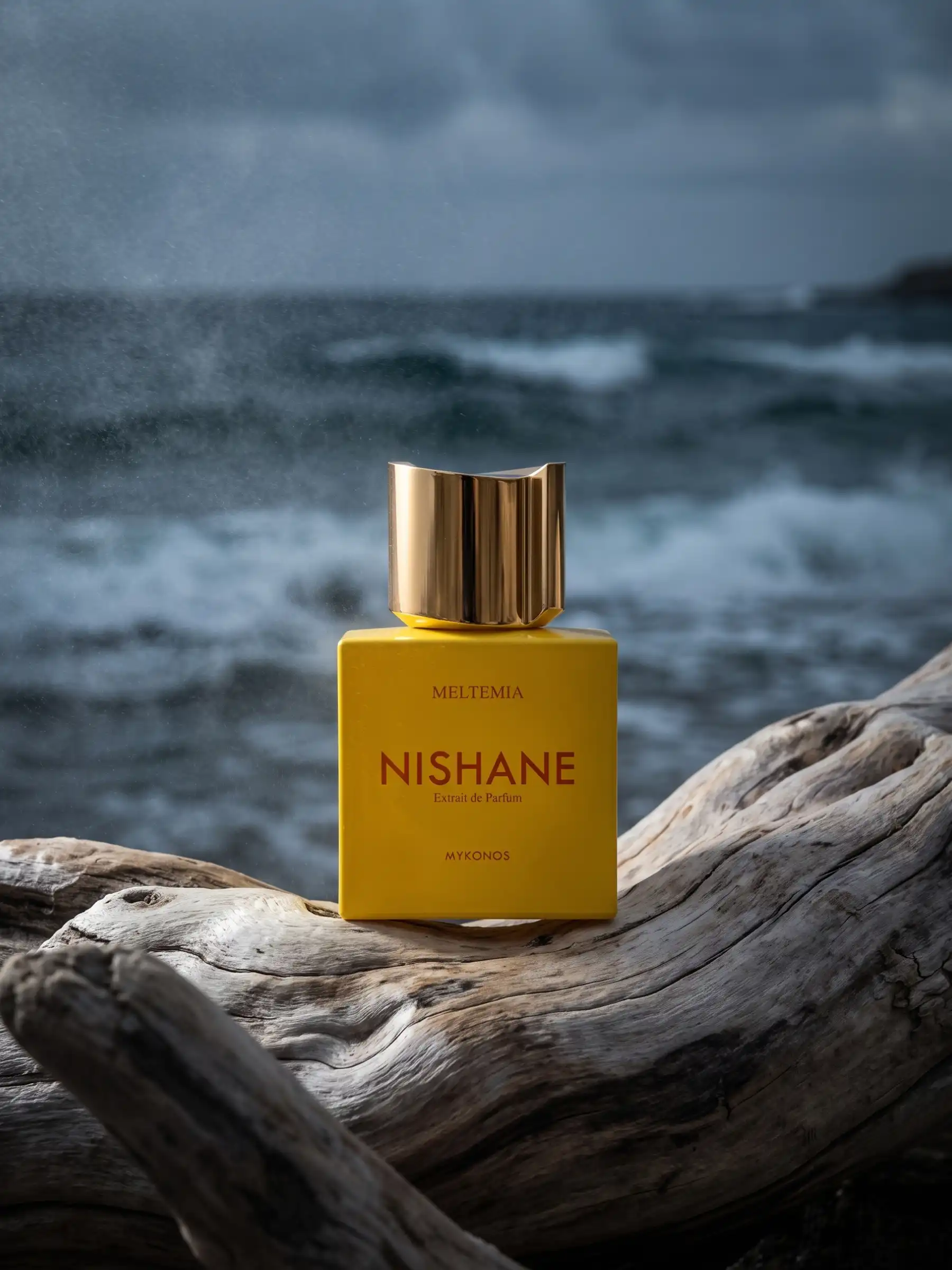 Hình 7 - Nishane Meltemia (2026) Extrait de Parfum 100ml