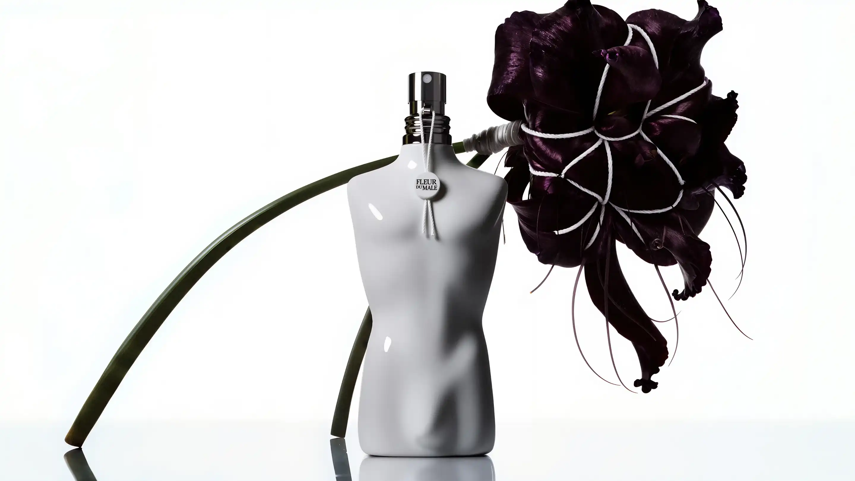 Hình 3 - Jean Paul Gaultier Fleur du Mâle EDT 125ml