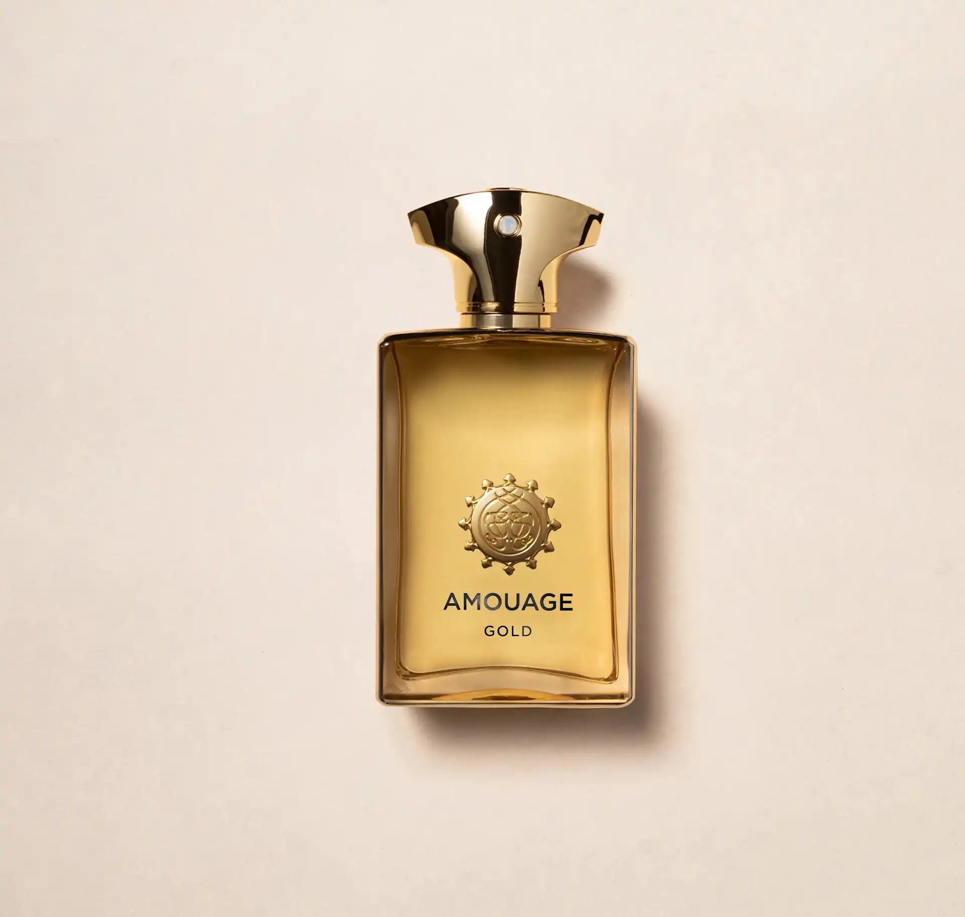 Hình 1 - Amouage Gold Man EDP 100ml