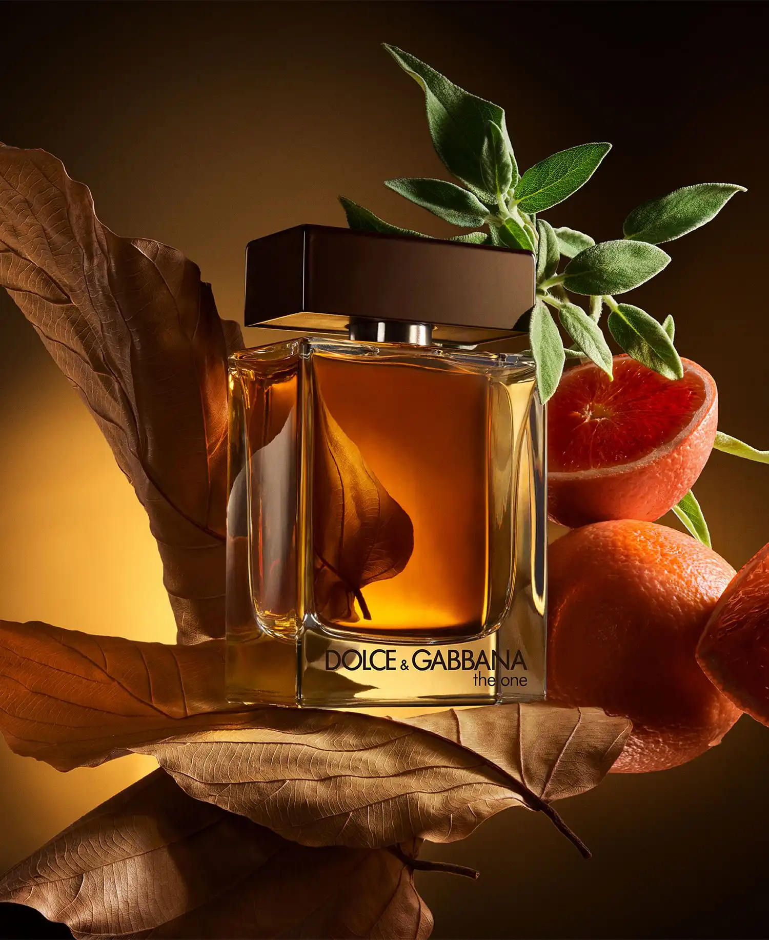 Hình 5 - Dolce & Gabbana The One For Men EDP 100ml 2025