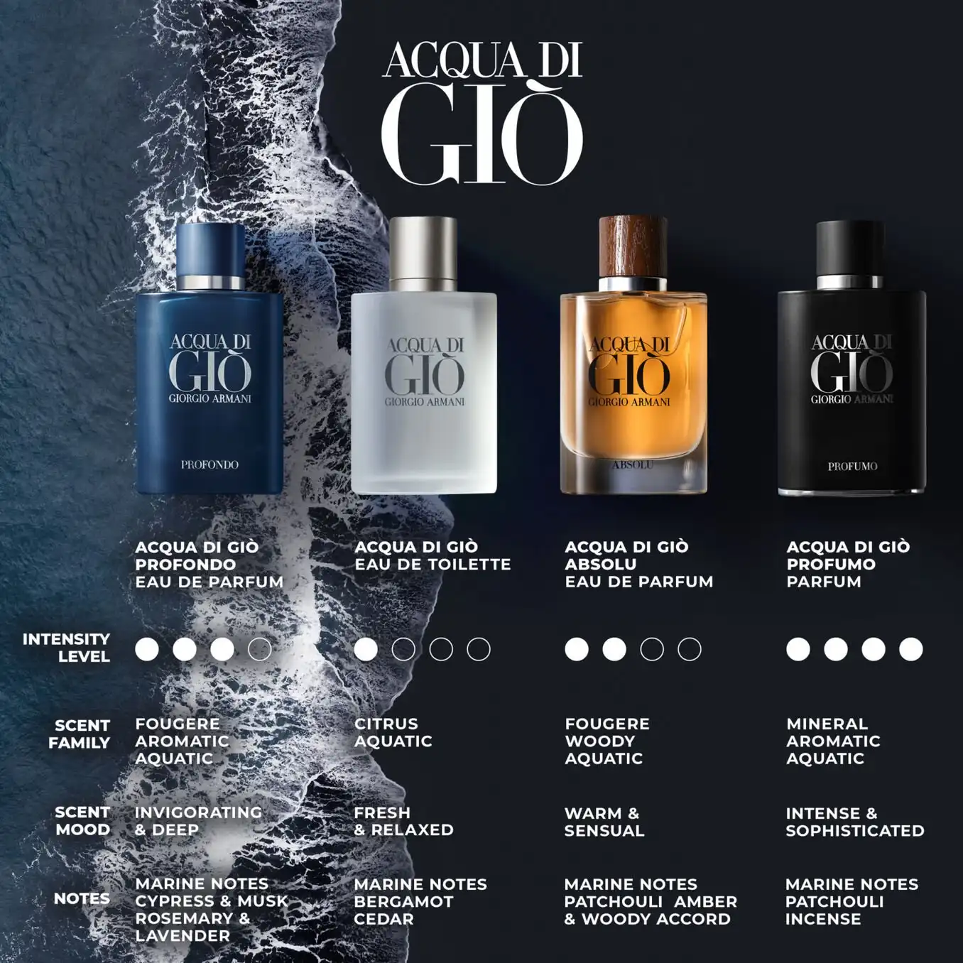 Hình 2 - Giorgio Armani Acqua Di Giò Profumo Parfum 125ml