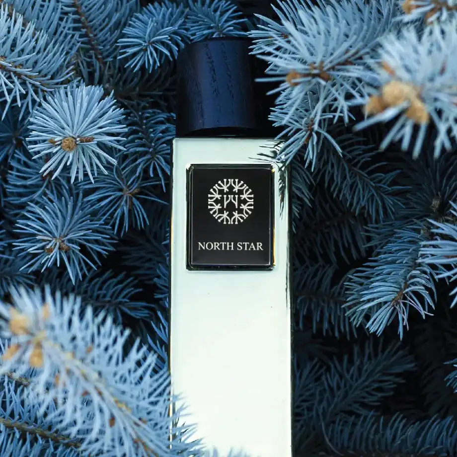 Hình 3 - The Woods Collection North Star EDP 100ml