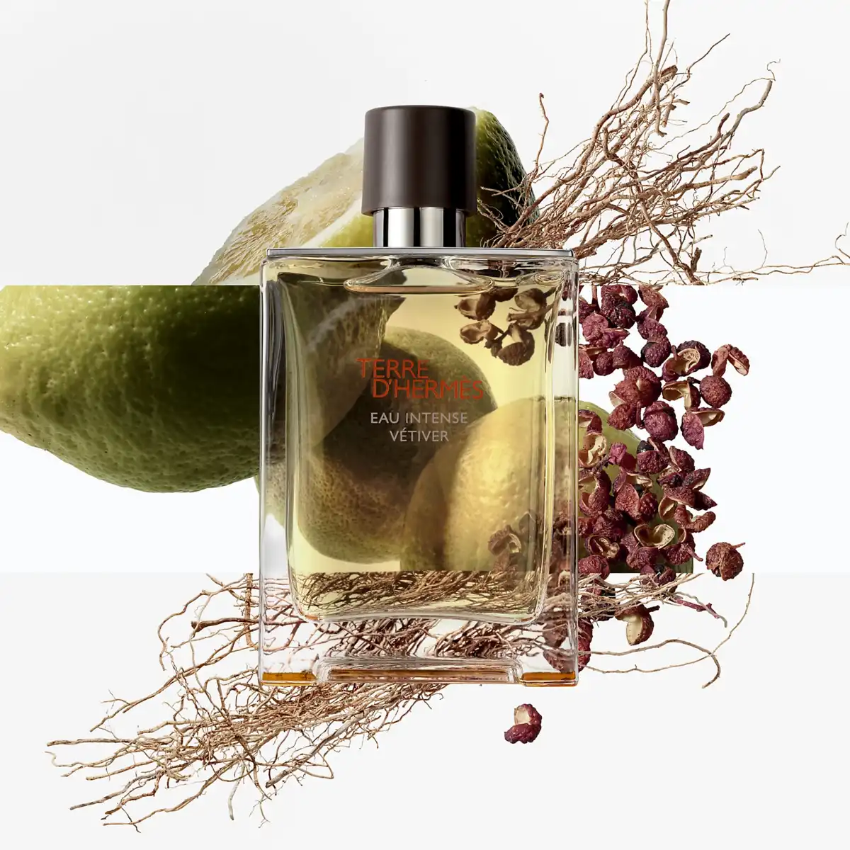 Hình 2 - Hermes Terre d’Hermes Eau Intense Vetiver EDP 100ml