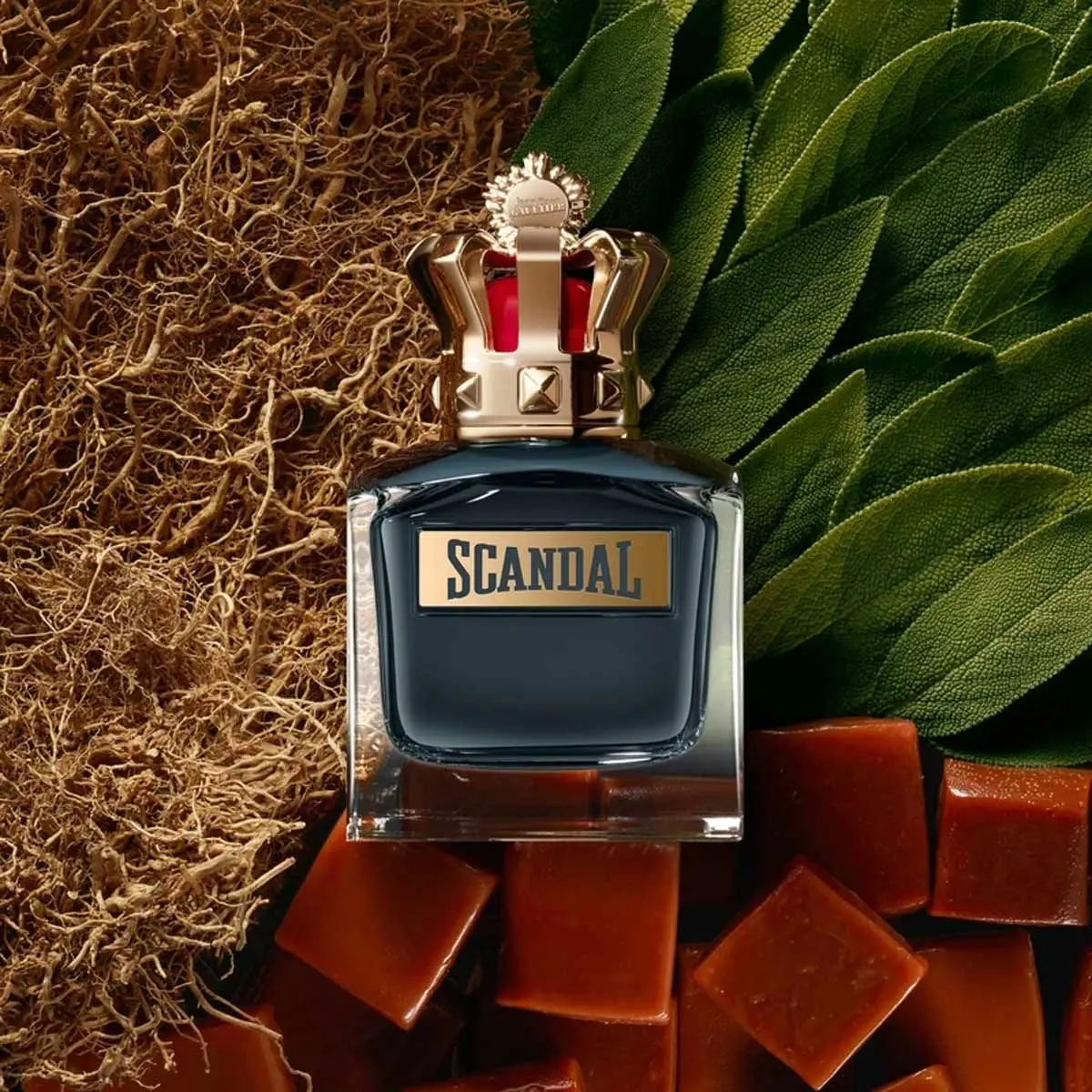 Hình 5 - Jean Paul Gaultier Scandal Pour Homme EDT 100ml