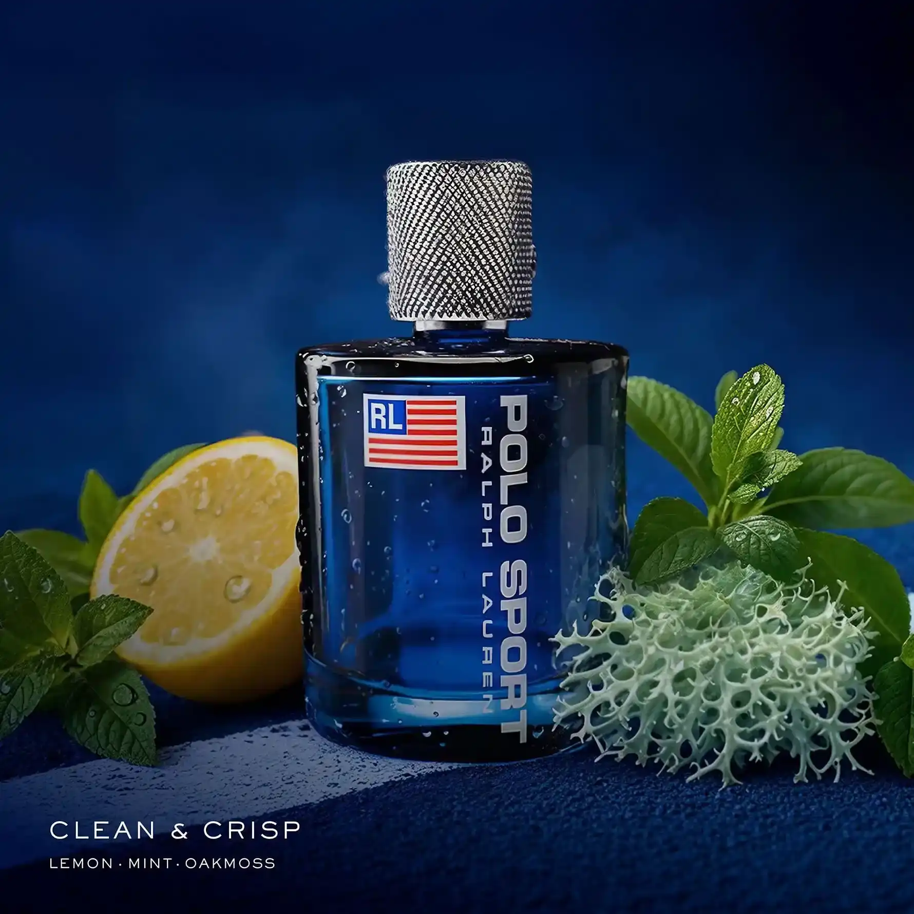 Hình 2 - Ralph Lauren Polo Sport EDT 100ml