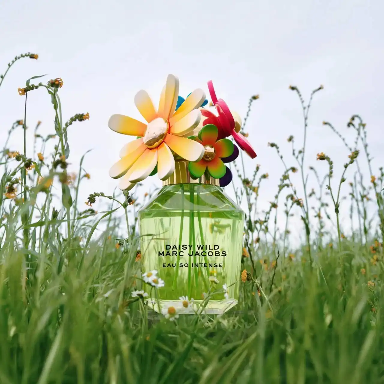 Hình 8 - Marc Jacobs Daisy Wild (2025) EDP Intense 100ml