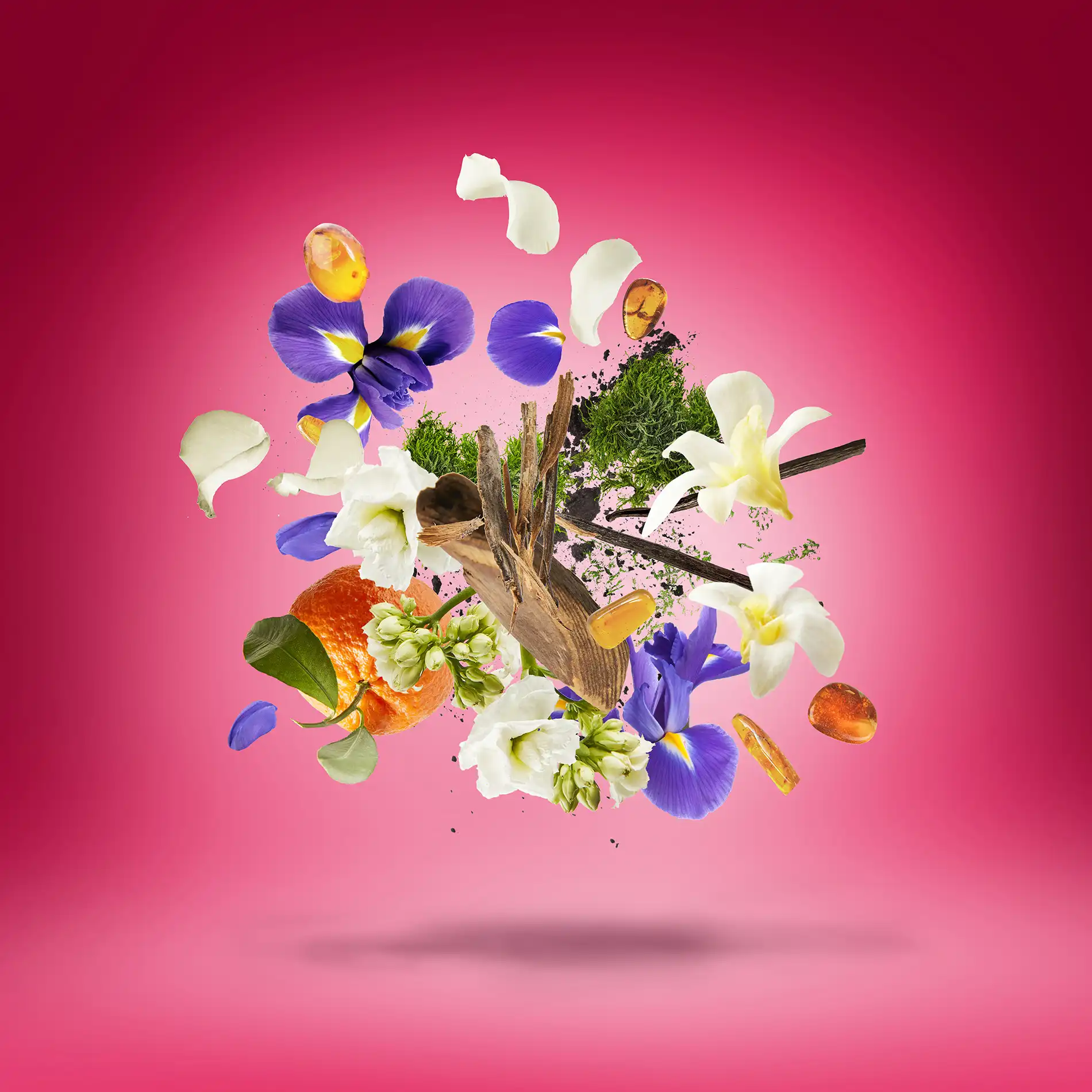 Hình 3 - Xerjoff Coro (2025) EDP 100ml