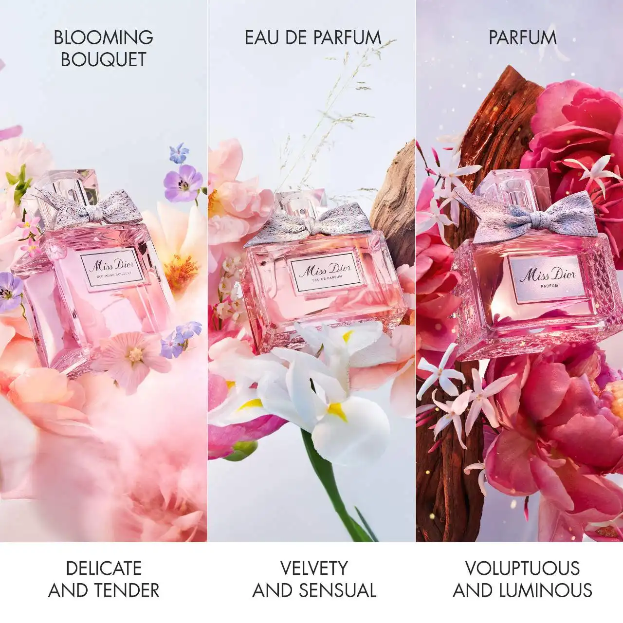 Hình 2 - Miss Dior Blooming Bouquet EDT 100ml