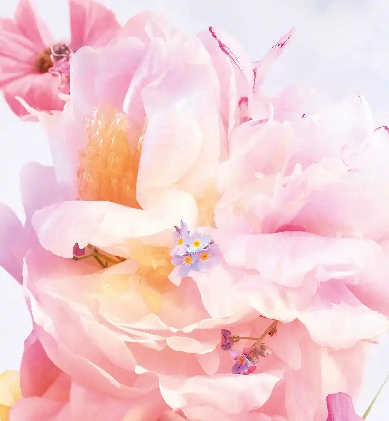 Hình 6 - Miss Dior Blooming Bouquet EDT 100ml