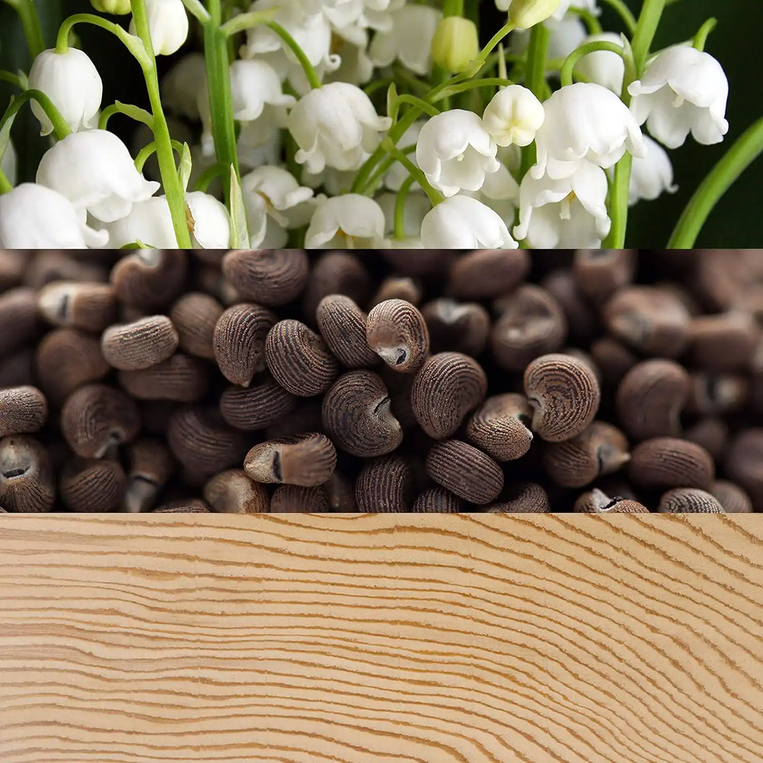 Hình 3 - Calvin Klein Beauty EDP 100ml