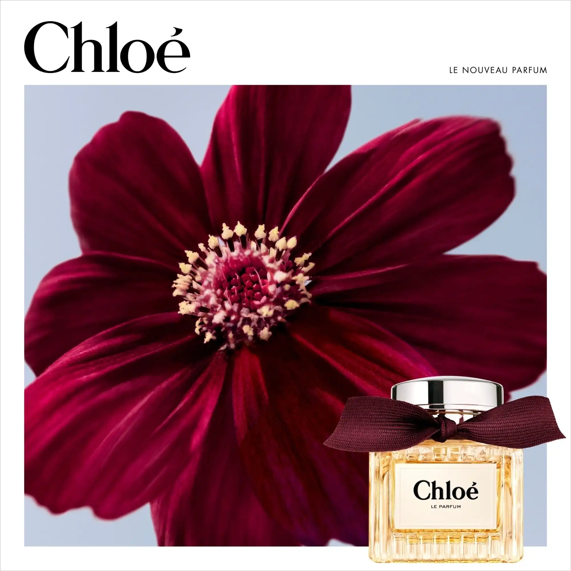 Hình 5 - Chloe (2025) Le Parfum 100ml