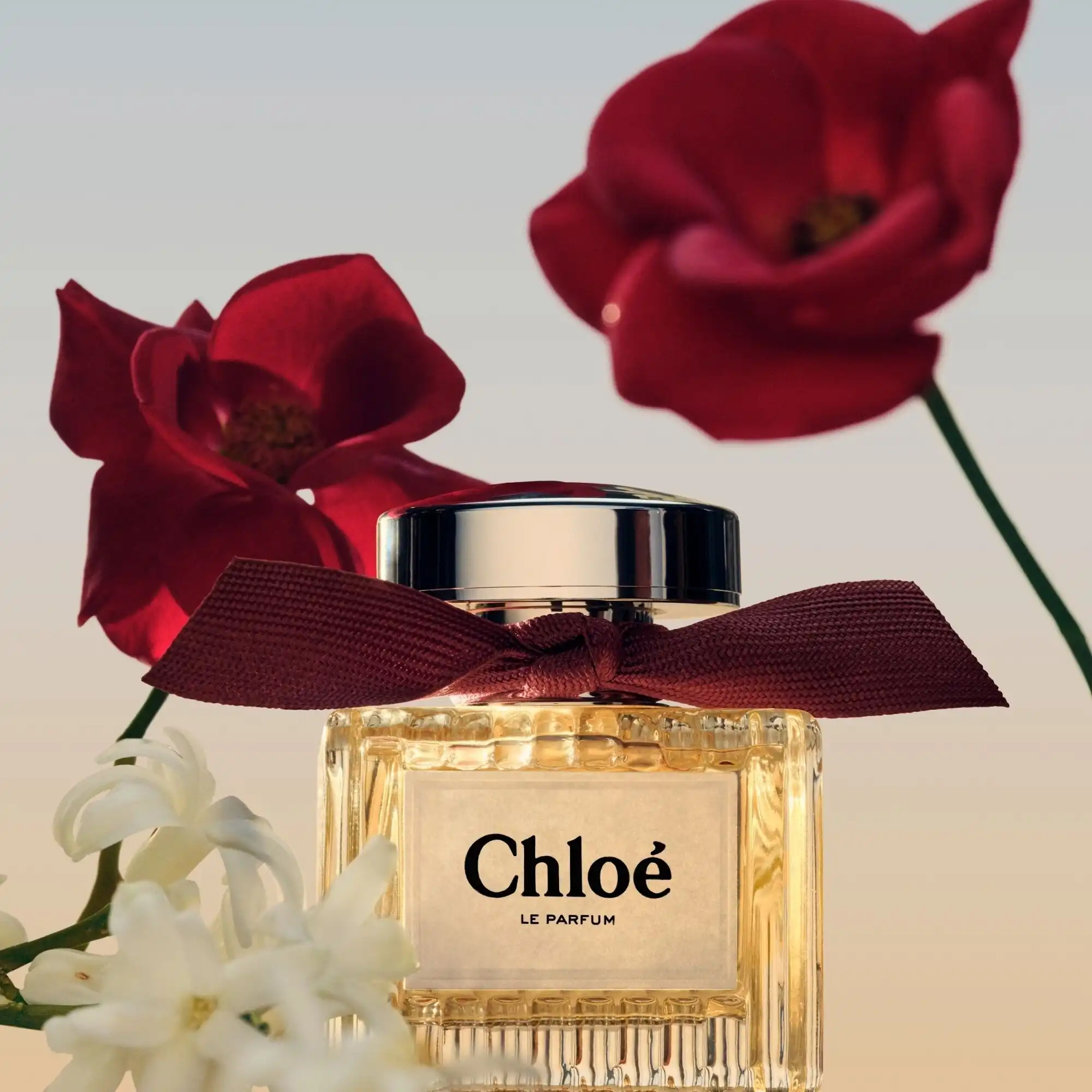 Hình 7 - Chloe (2025) Le Parfum 100ml