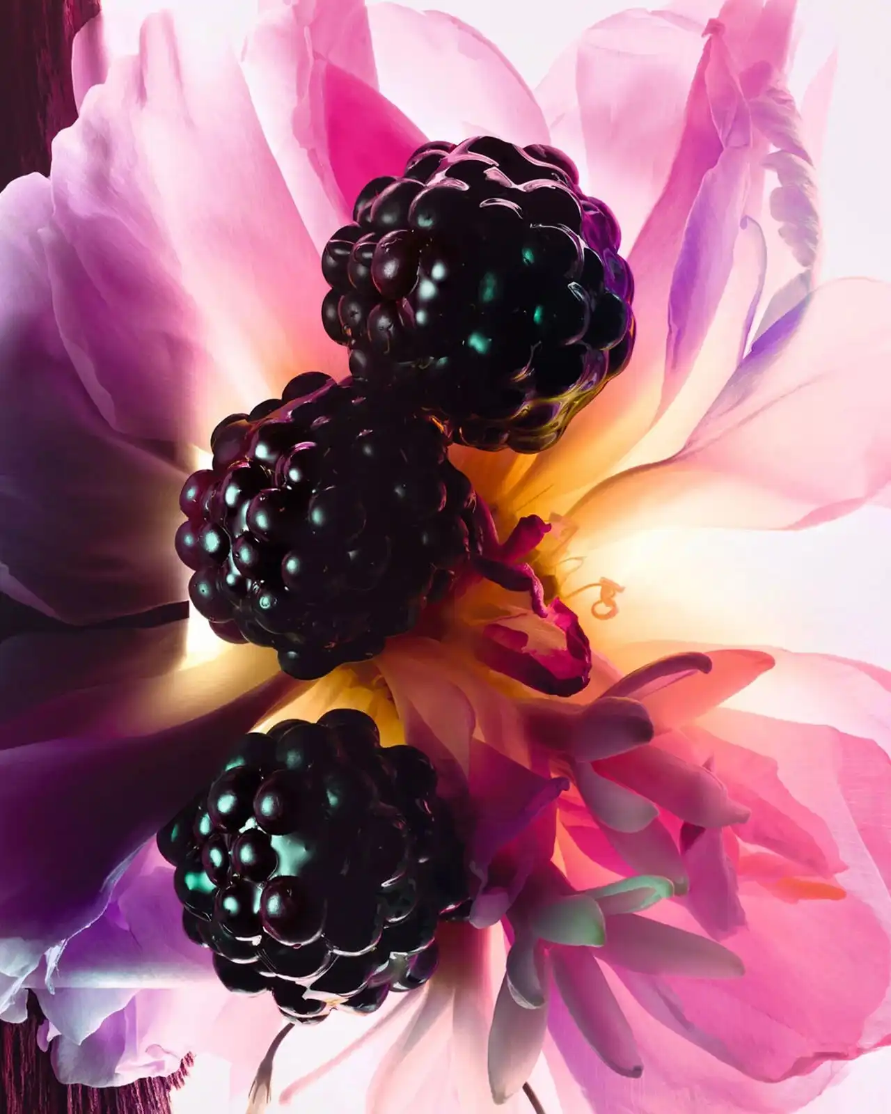 Hình 5 - Miss Dior Essence (2025) EDP 80ml