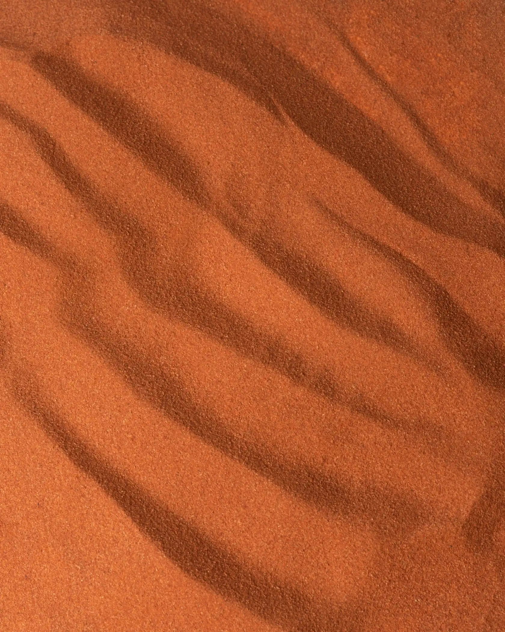 Hình 3 - BDK Parfums Nuit de Sable EDP 100ml