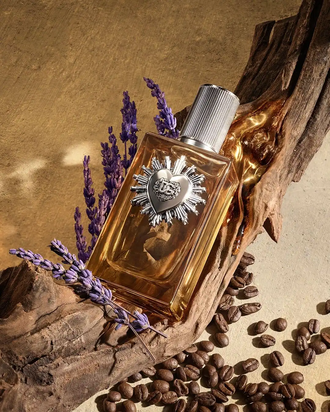 Hình 3 - Dolce & Gabbana Devotion Pour Homme (2025) Parfum 100ml